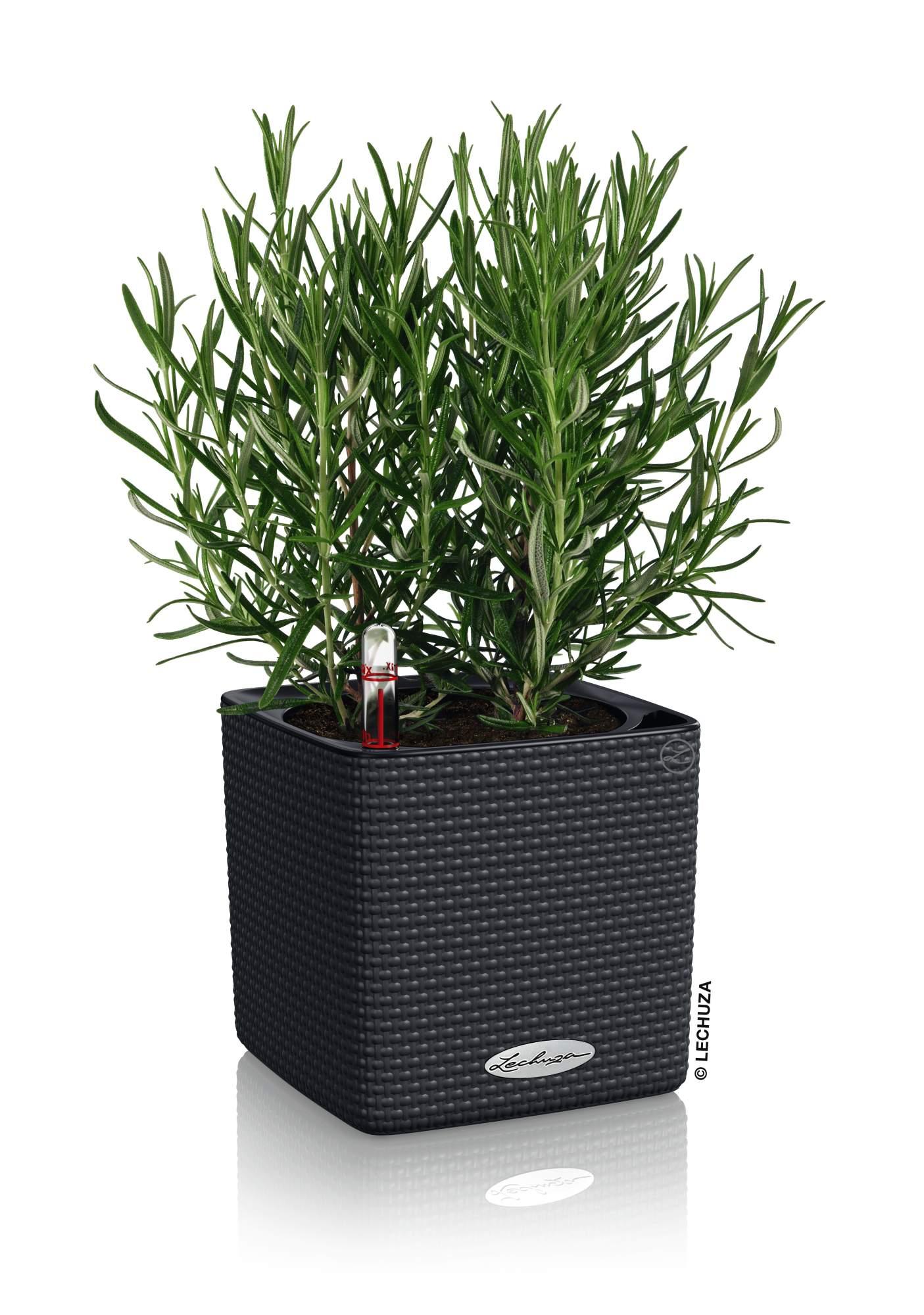 Lechuza Blumentopf klein Cube Color 14 schiefergrau Lechuza Blumentopf klein Cube Color 14 schiefergrau