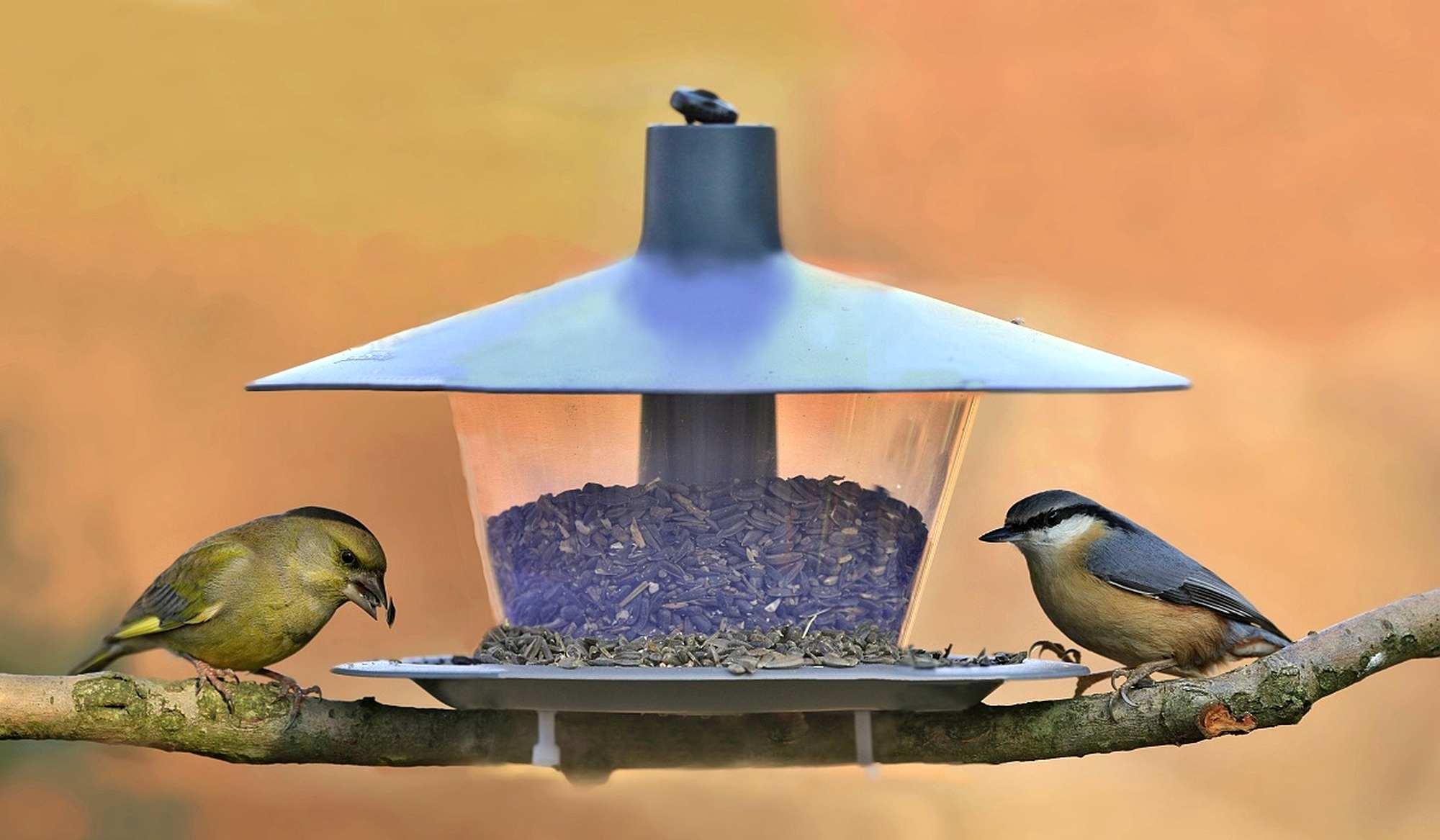 Plastia Vogelfutterhaus Finch anthrazit grau Kunststoff