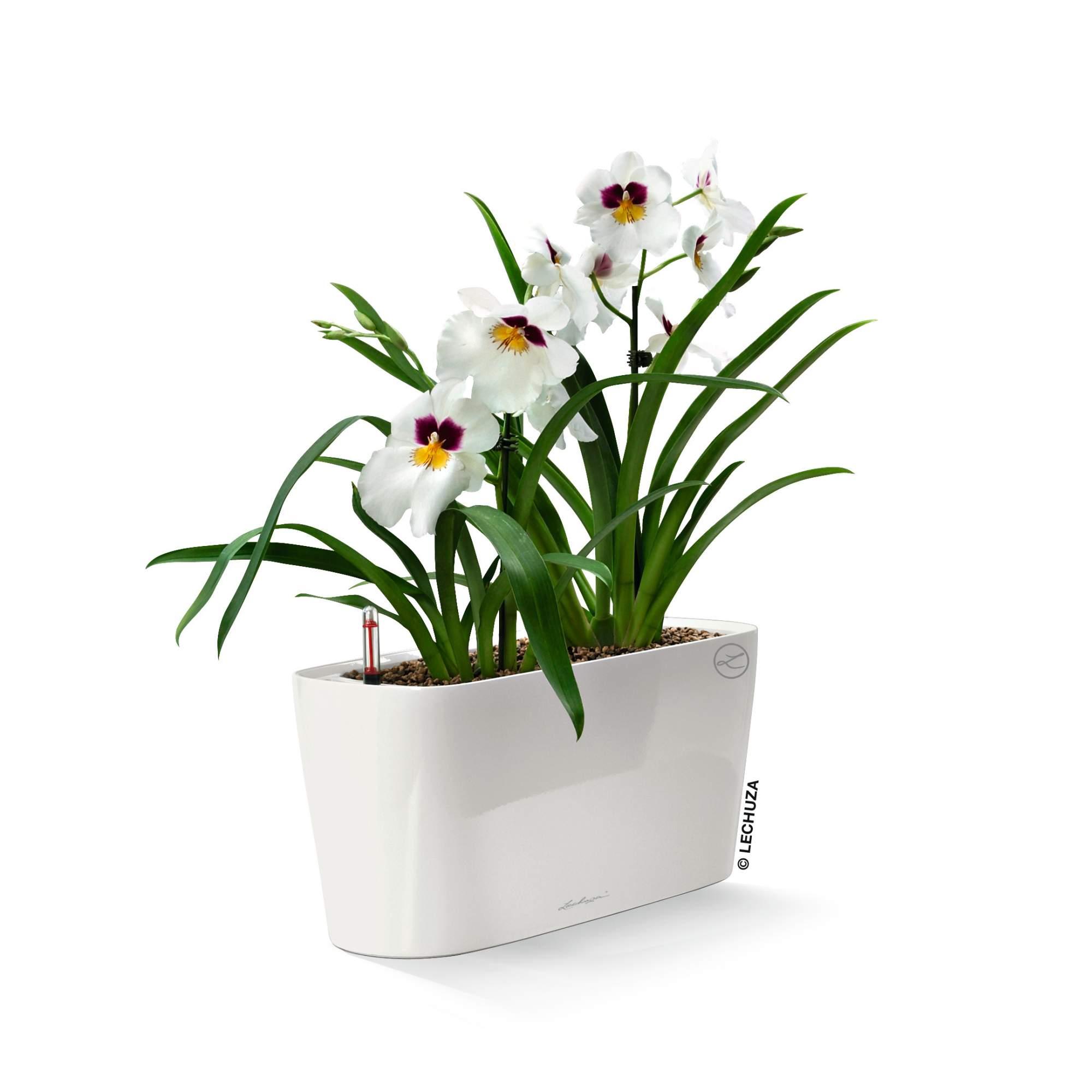 Lechuza Blumentopf rechteckig Delta 20 weiß hochglanz