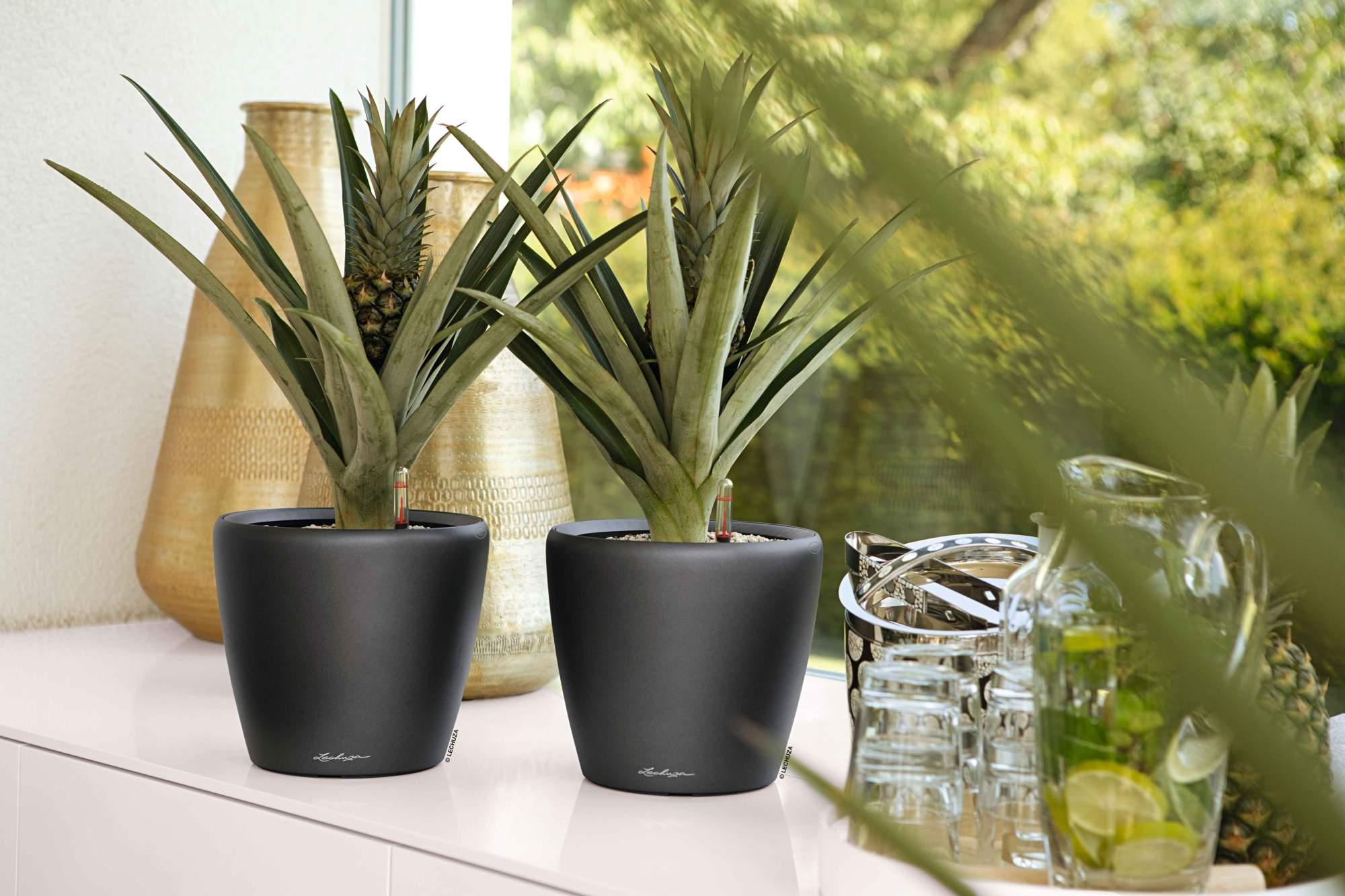 Lechuza Blumentopf rund Classico LS 28 anthrazit metallic Lechuza Blumentopf rund Classico LS 28 anthrazit metallic