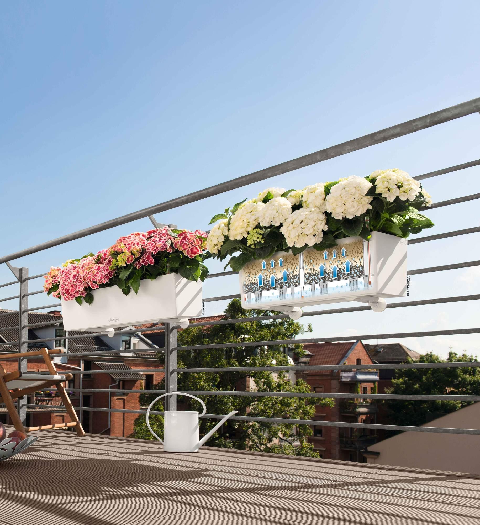 Lechuza Blumenkasten Balconera Color 80 weiß