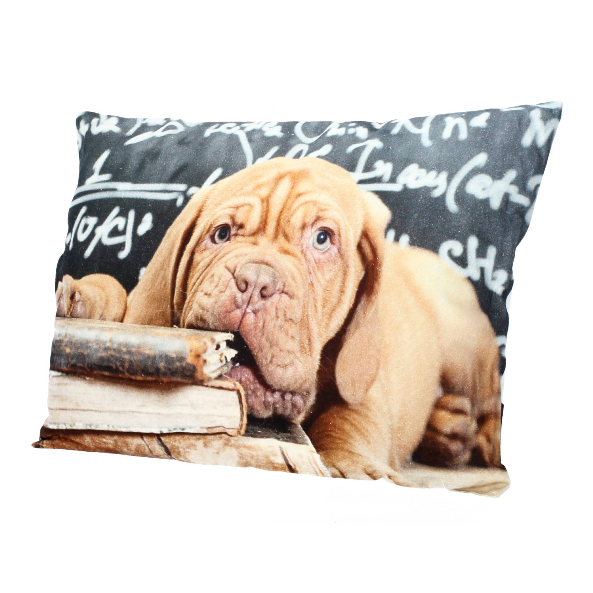 Mars More Kissen Bordo Hund Bordeaux Dogge Kanevas inkl. Füllung 35x50 cm Motiv