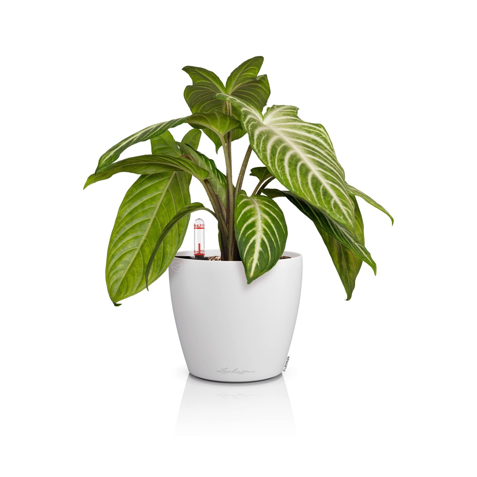 Lechuza Blumentopf rund Classico Color 14 Weiß
