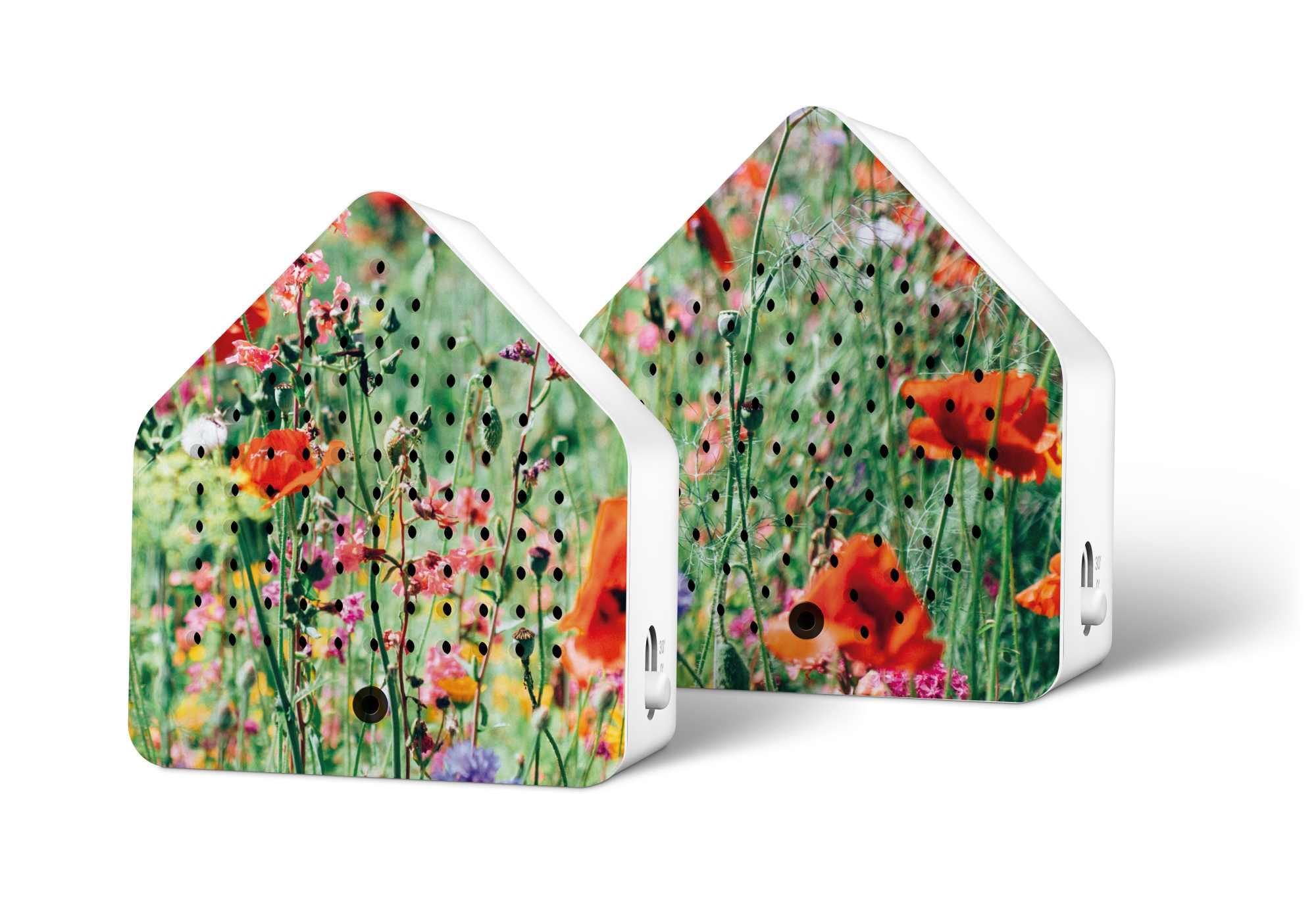 Relaxound Zirpybox Limited Edition Spring 24 Wild Flowers Relaxound Zirpybox Limited Edition Spring 24 Wild Flowers