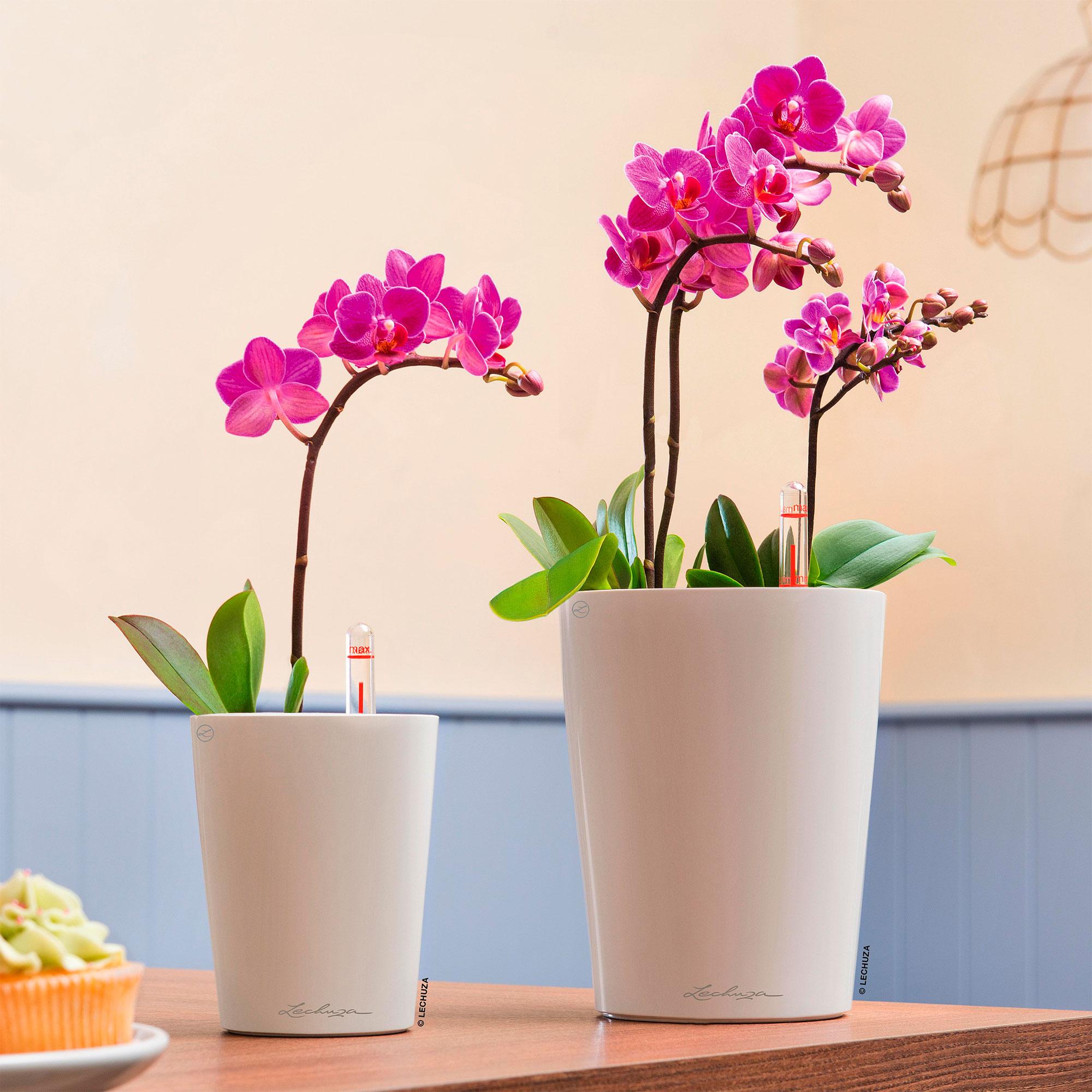 Lechuza Blumentopf klein Mini Deltini weiß matt 14944 Lechuza Blumentopf klein Mini Deltini weiß matt 14944