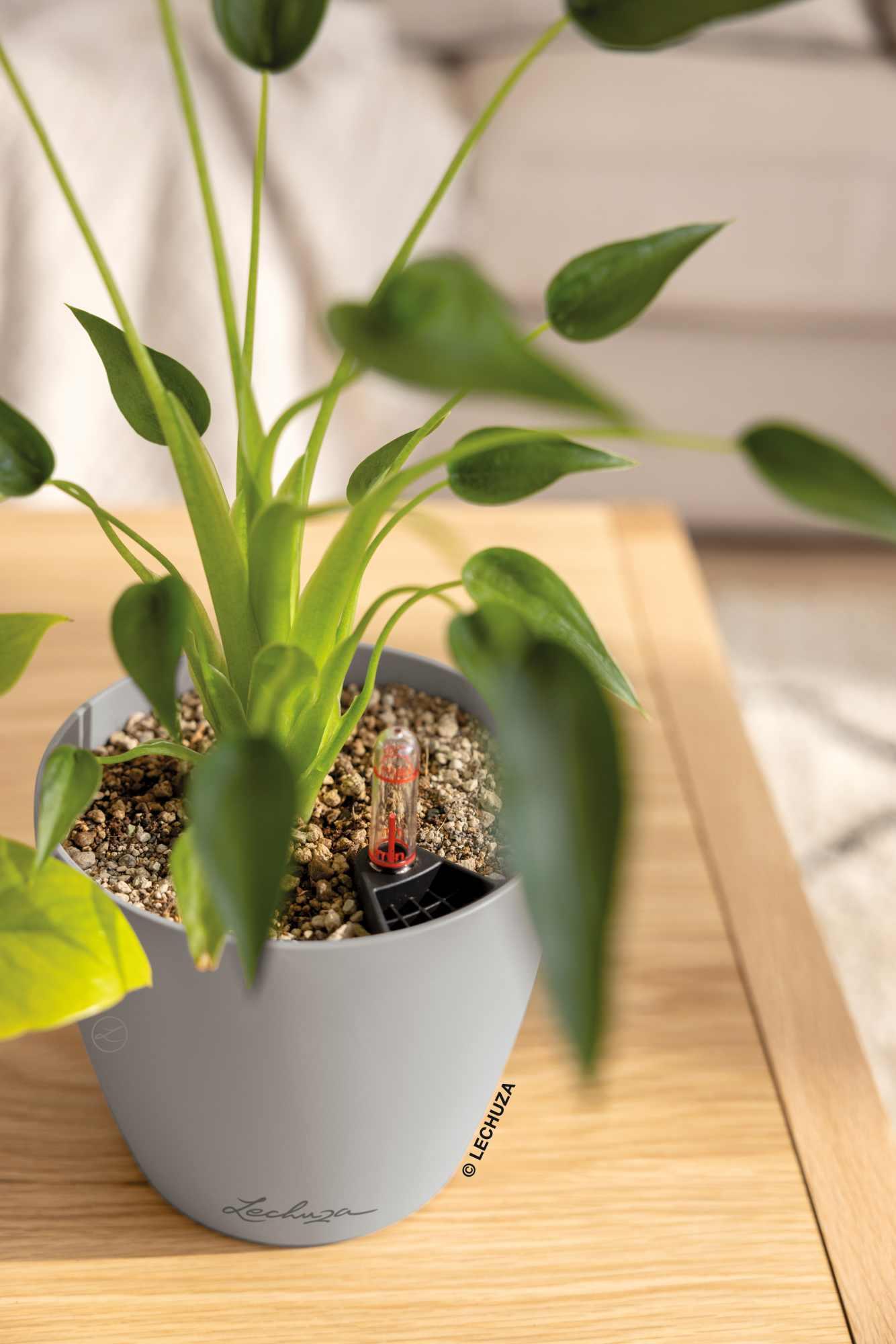 Lechuza Blumentopf rund Classico Color 14 Sandbraun