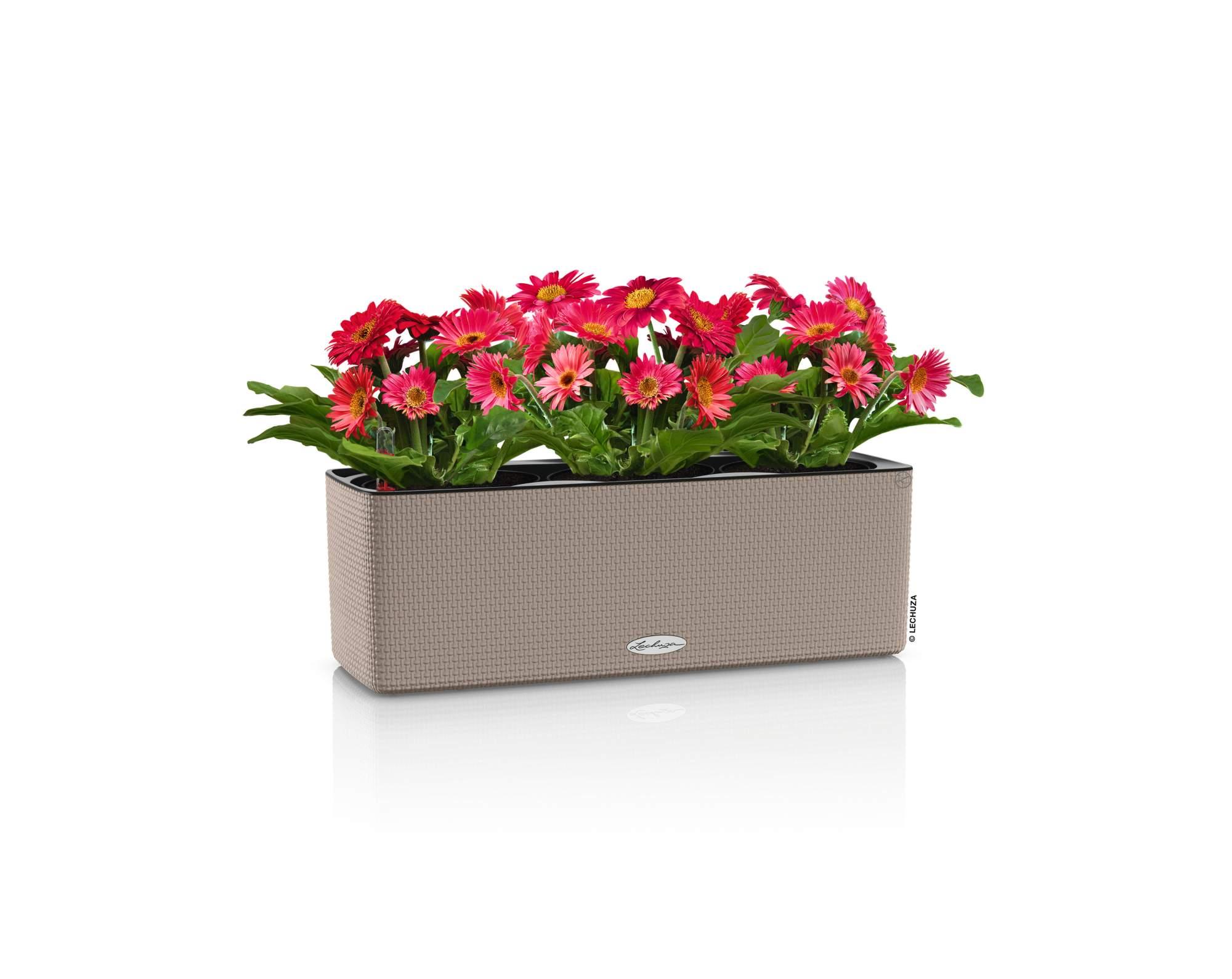 Lechuza Blumenkasten Balconera Color 50 sandbraun