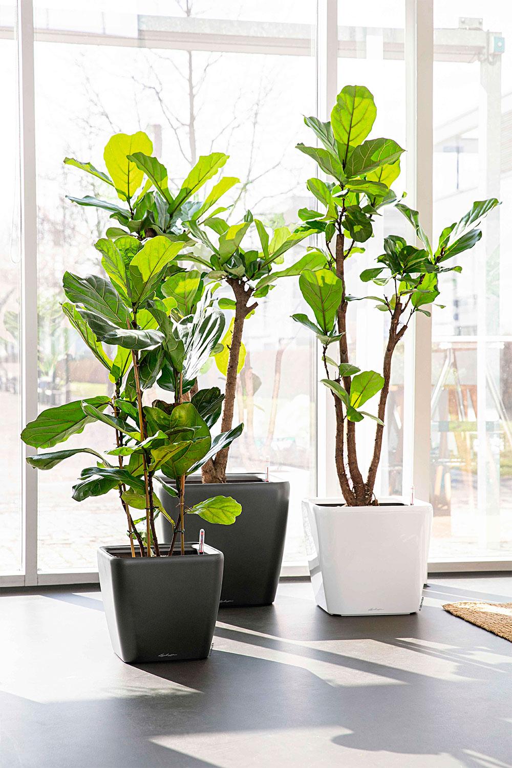 Lechuza Blumentopf groß Quadro LS 35 anthrazit metallic
