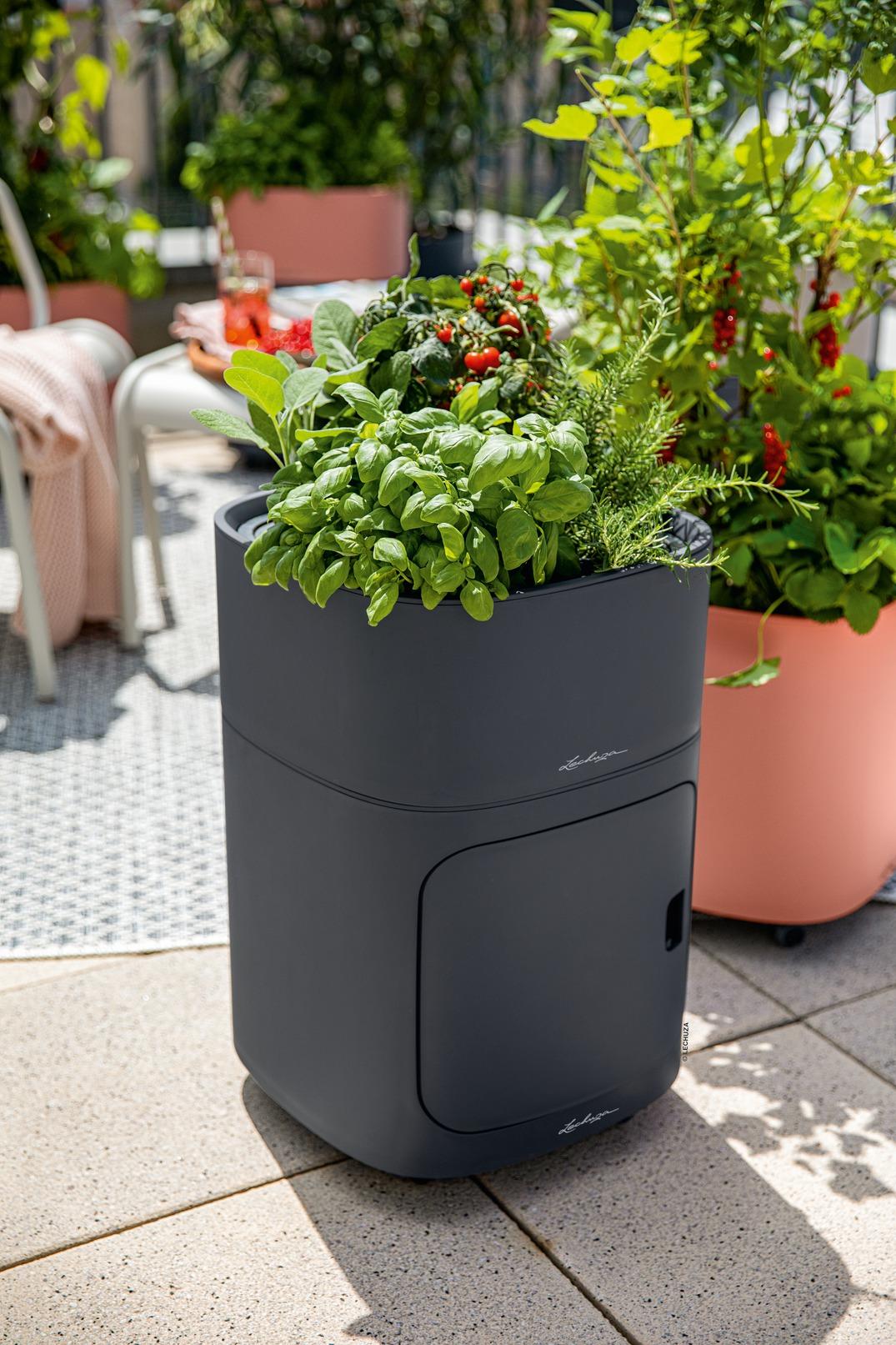 Lechuza Blumentopf hoch Pila Color Planter petrolblau