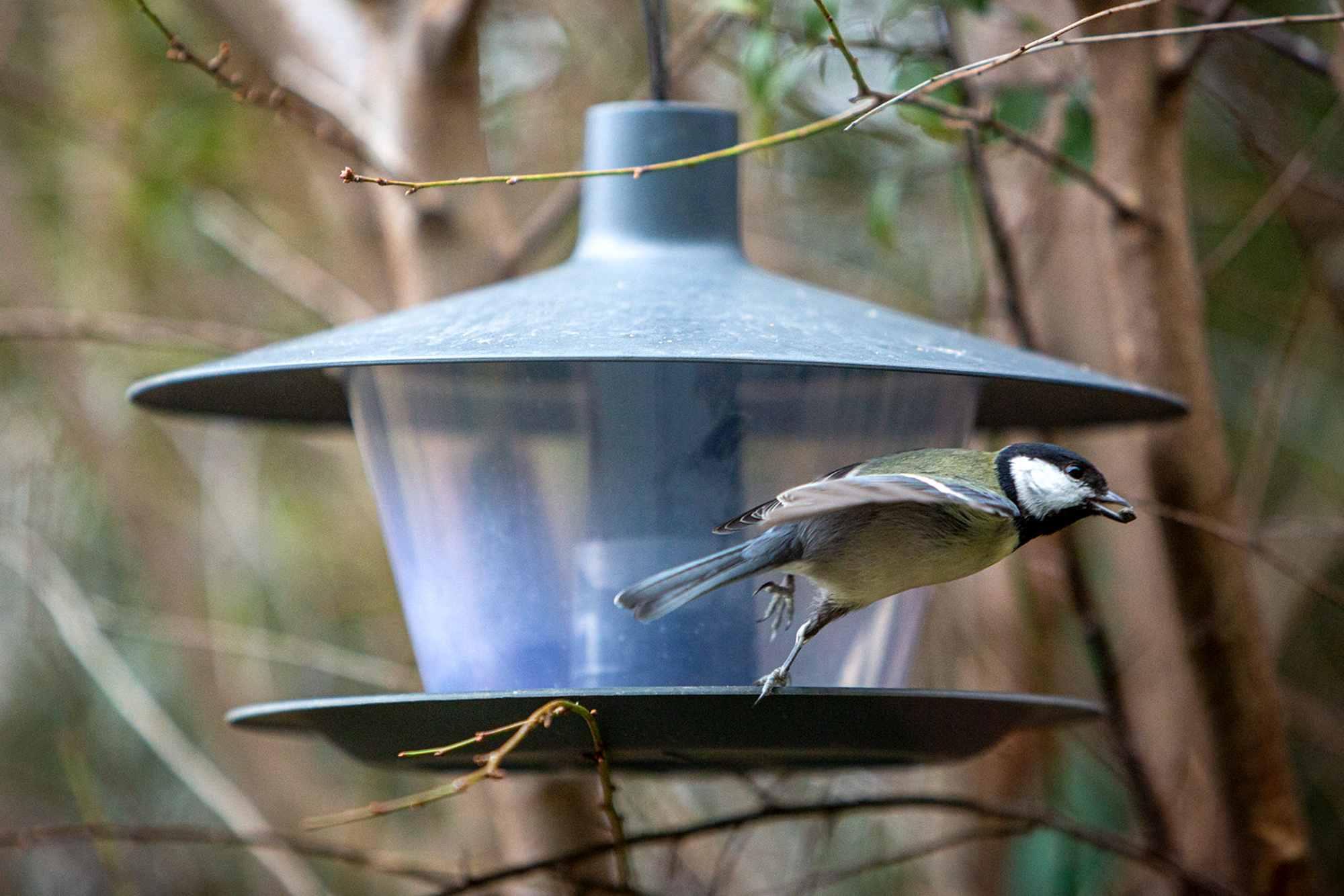 Plastia Vogelfutterhaus Finch anthrazit grau Kunststoff Plastia Vogelfutterhaus Finch anthrazit grau Kunststoff