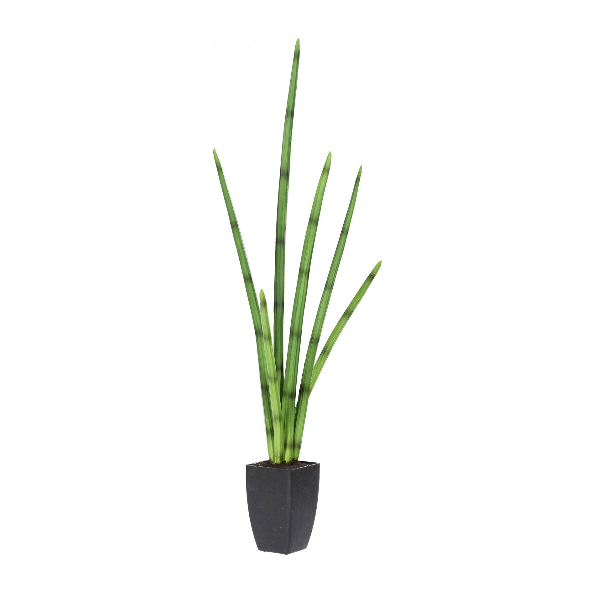 Gasper Sanseveria im Kunststofftopf 100 cm Topfpflanze Kunstpflanze PU Gasper Sanseveria im Kunststofftopf 100 cm Topfpflanze Kunstpflanze PU