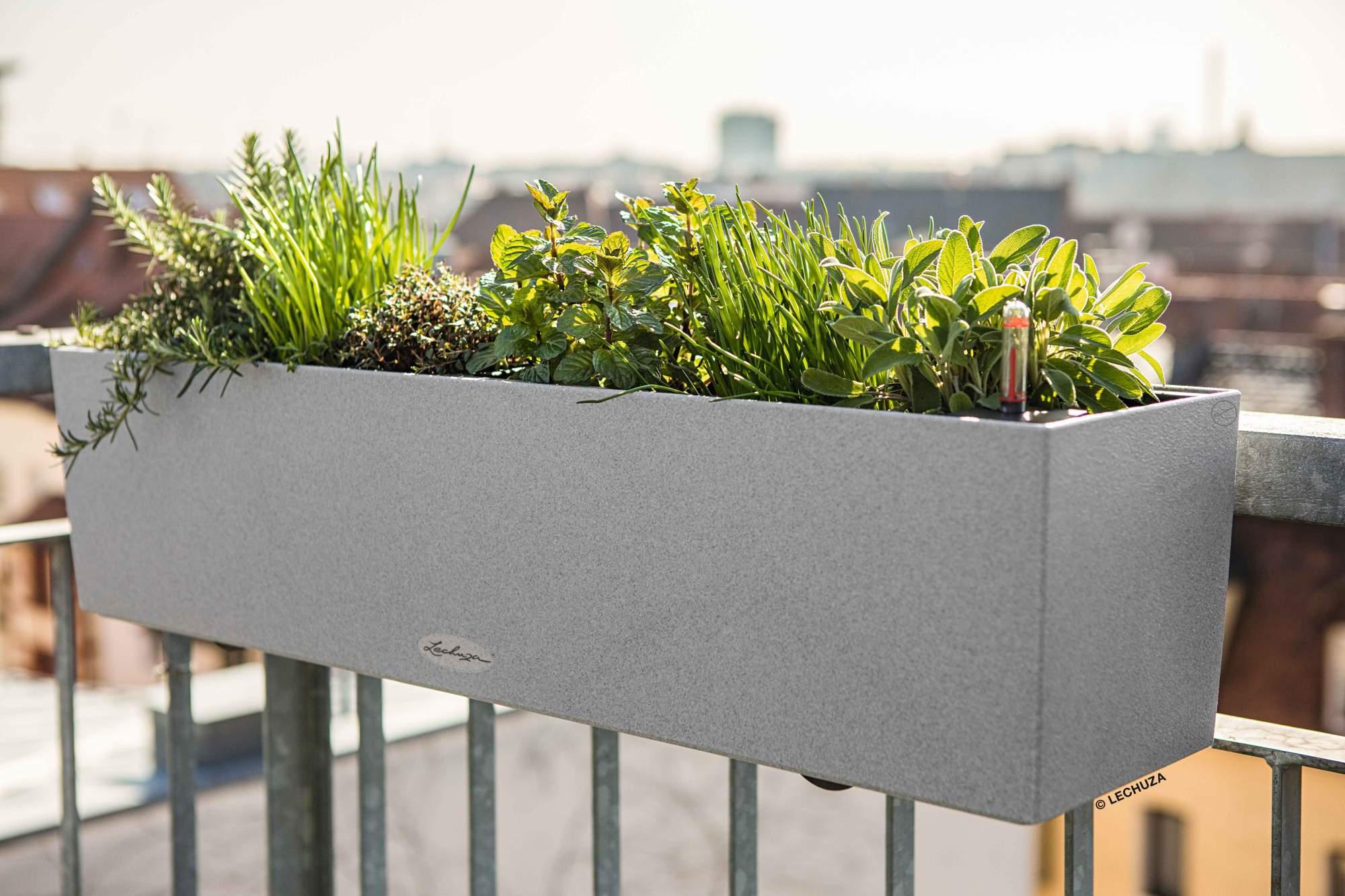 Lechuza Blumenkasten Balconera Stone 80 steingrau