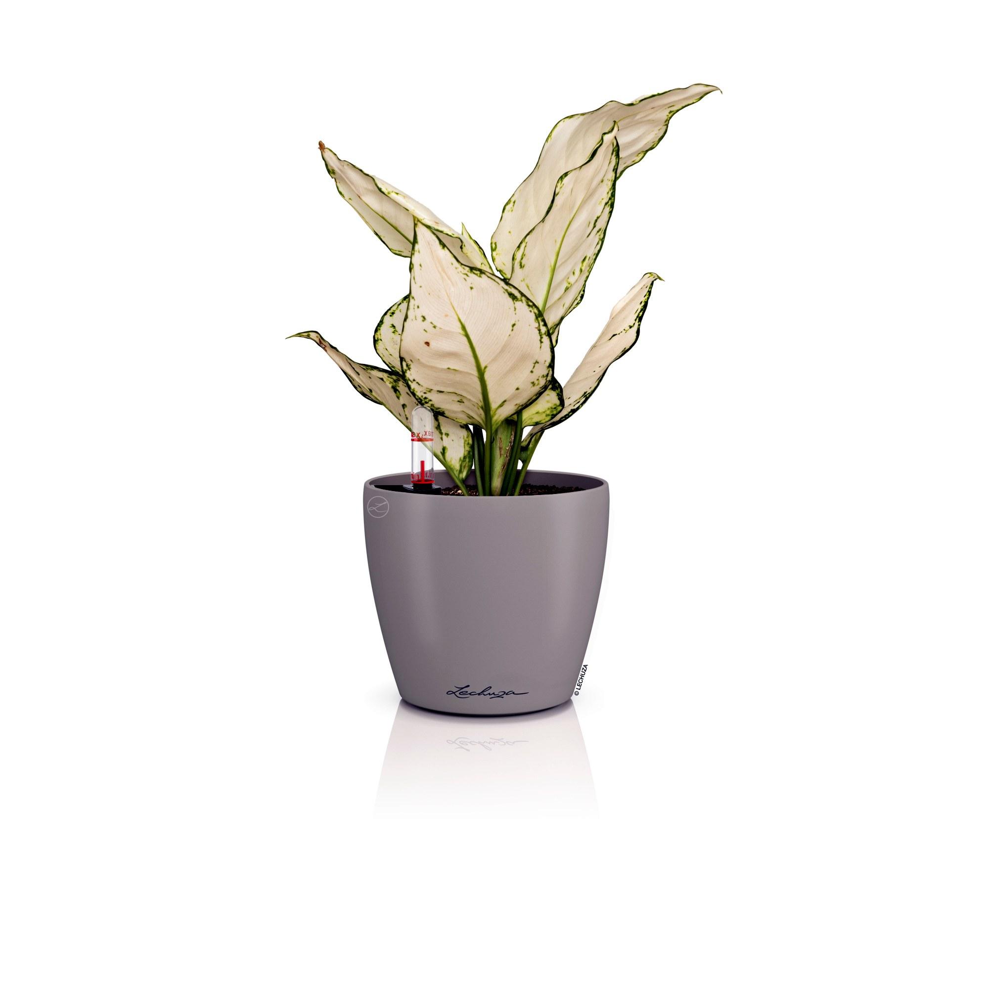 Lechuza Blumentopf rund Classico Color 12 Sandbraun