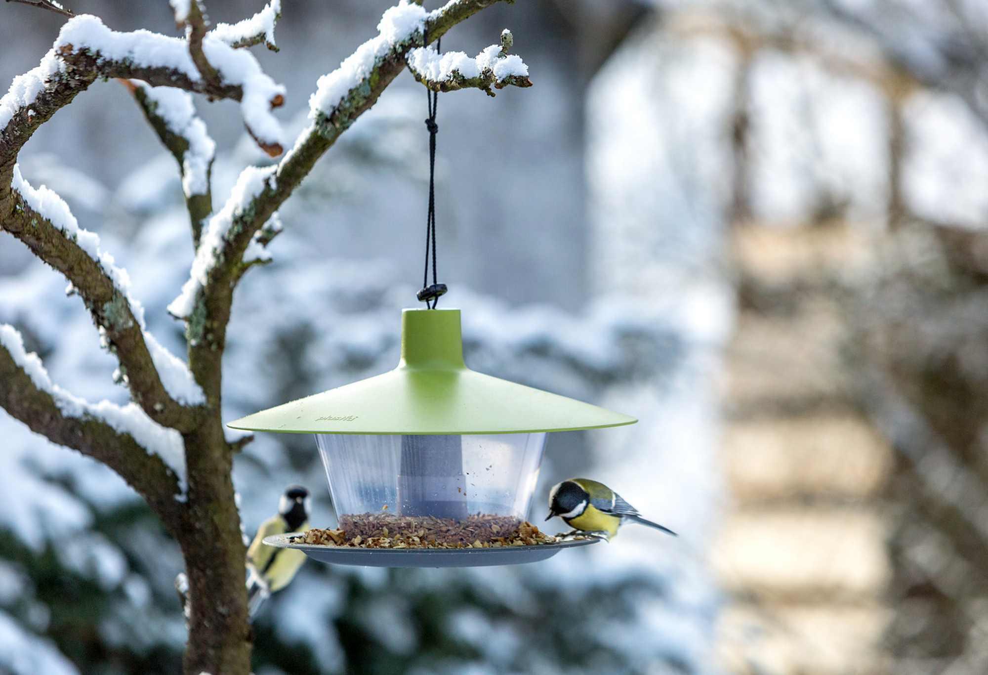 Plastia Vogelfutterhaus Finch grün-grau Kunststoff