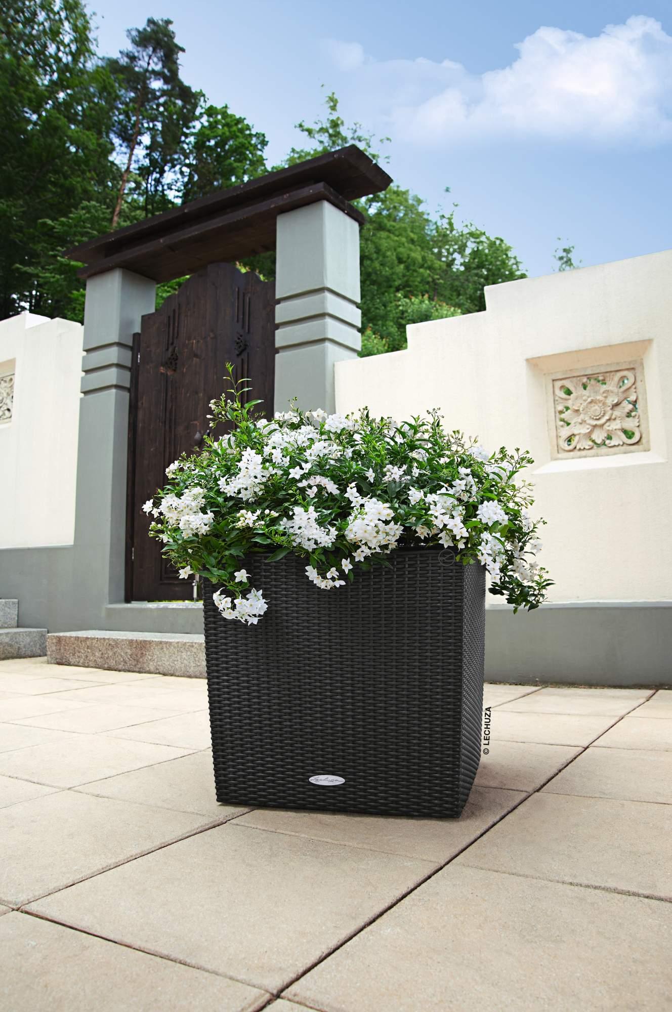 Lechuza Blumentopf groß Cube Cottage 50 granit grau