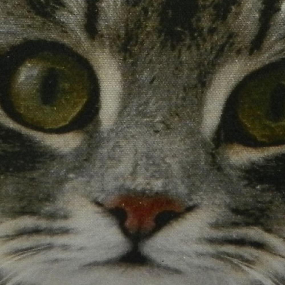 Mars & More Kissen Katze Grau Schnee, GKHKKS Mars & More Kissen Katze Grau Schnee, GKHKKS