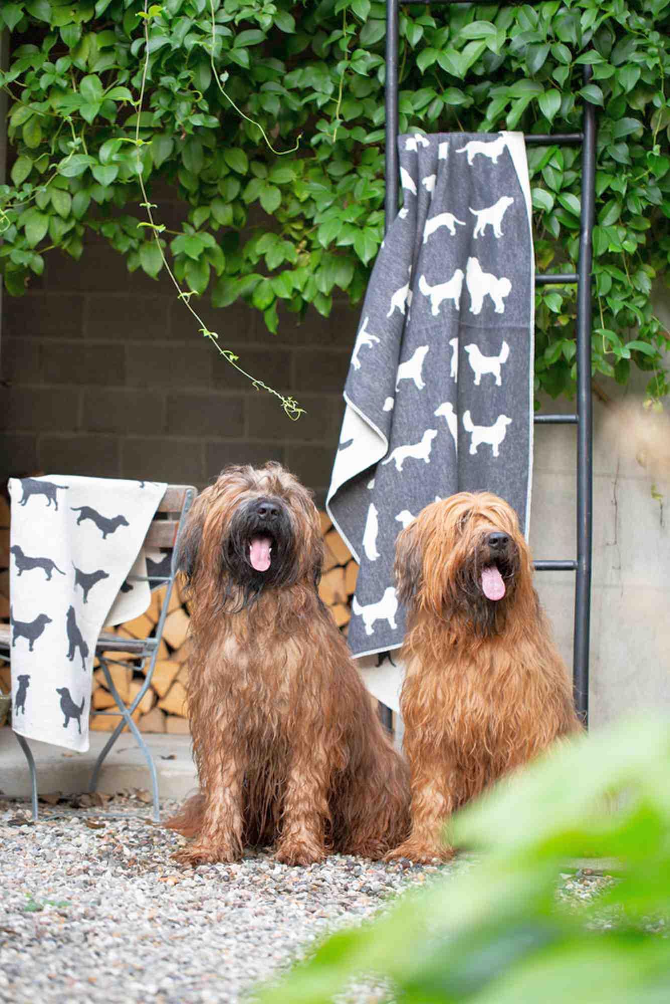 Fussenegger Haustierdecke Hundesilhouetten 100/140 Anthrazit 71549804