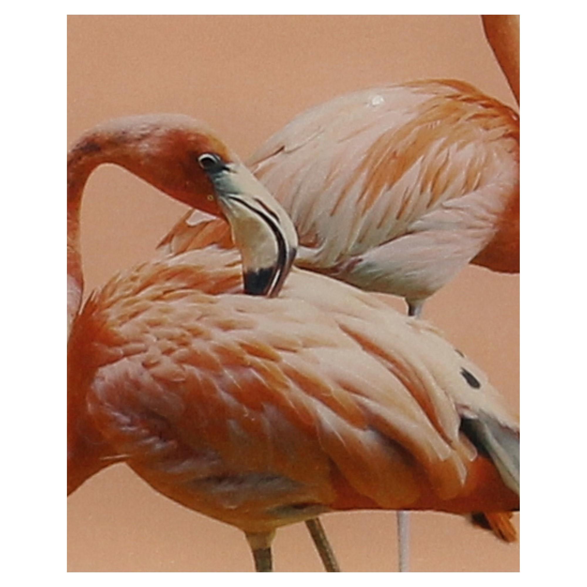 Villa Dekoteller Flamingos, 472448