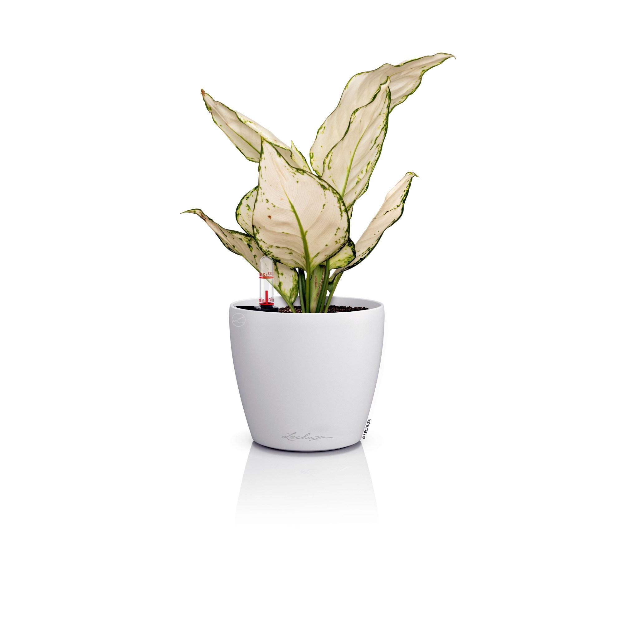 Lechuza Blumentopf rund Classico Color 14 Weiß