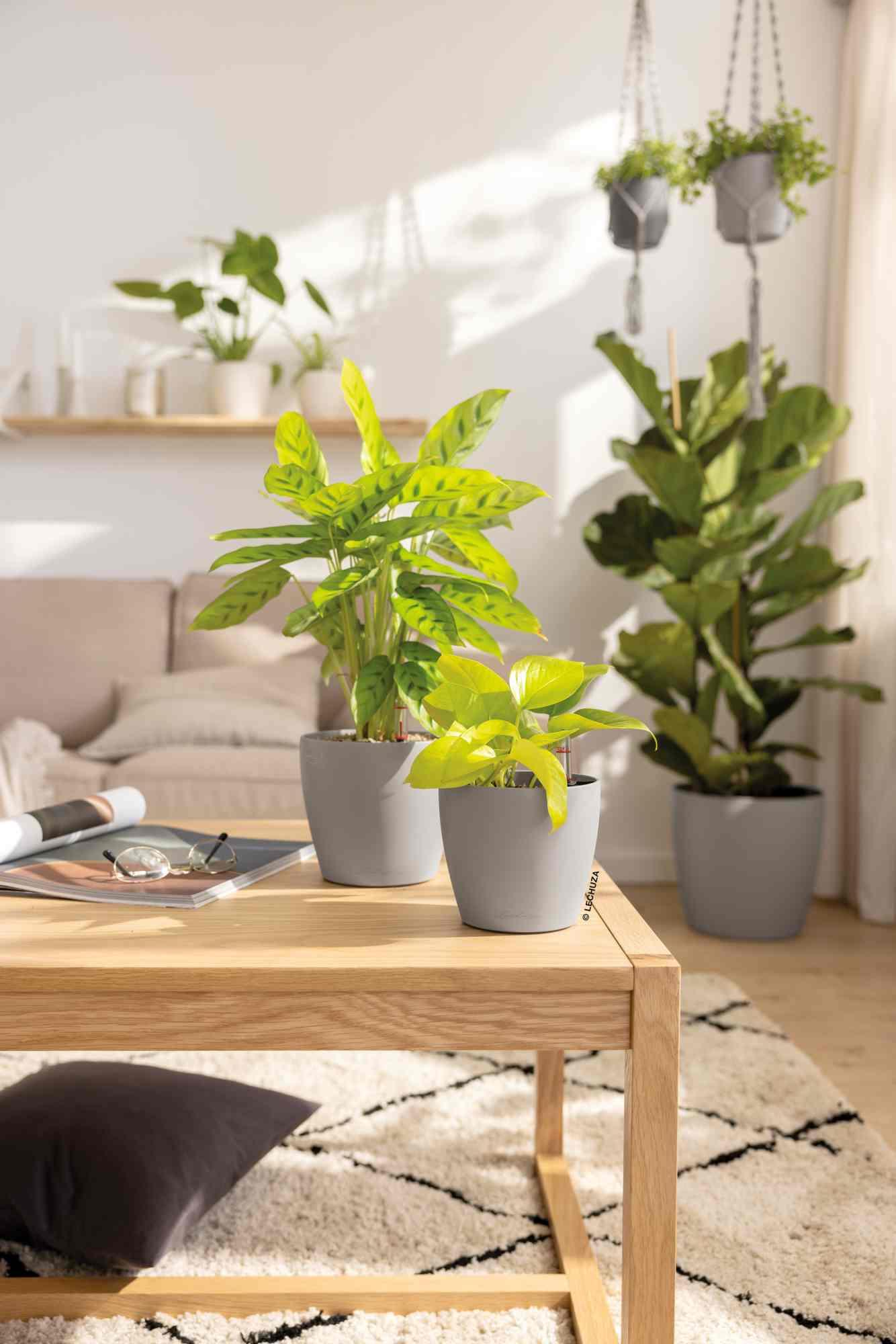 Lechuza Blumentopf rund Classico Color 12 Sandbraun Lechuza Blumentopf rund Classico Color 12 Sandbraun