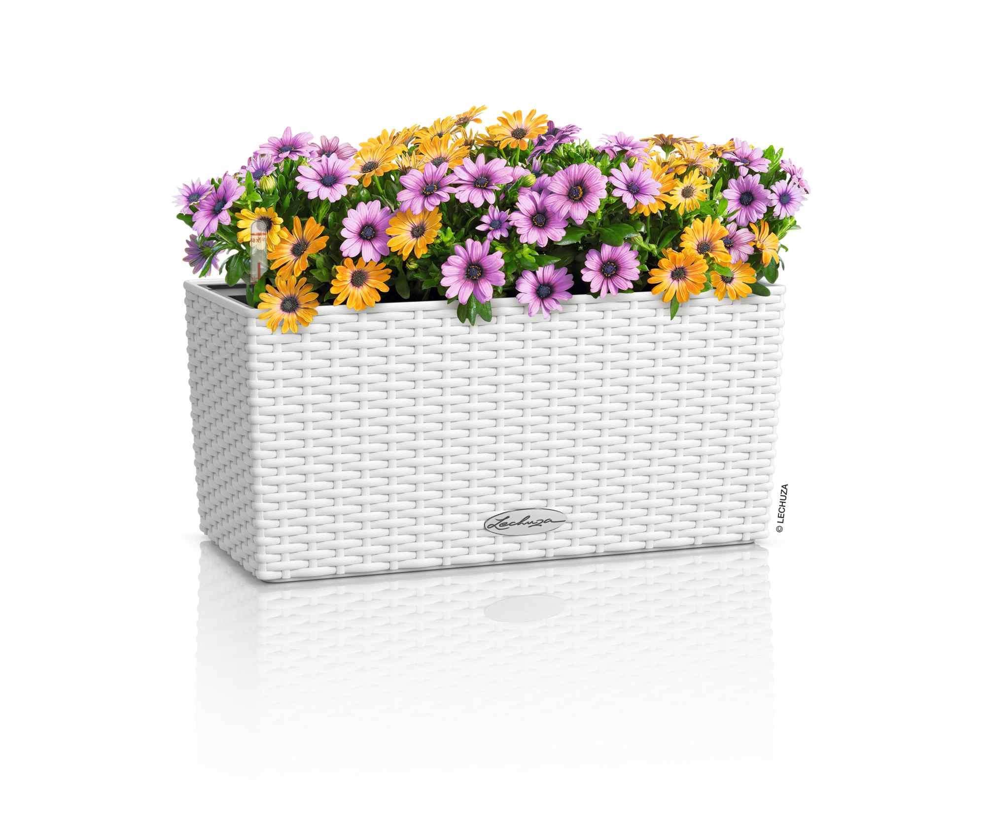 Lechuza Blumenkasten Balconera Cottage 40 Weiß 15470 Lechuza Blumenkasten Balconera Cottage 40 Weiß 15470