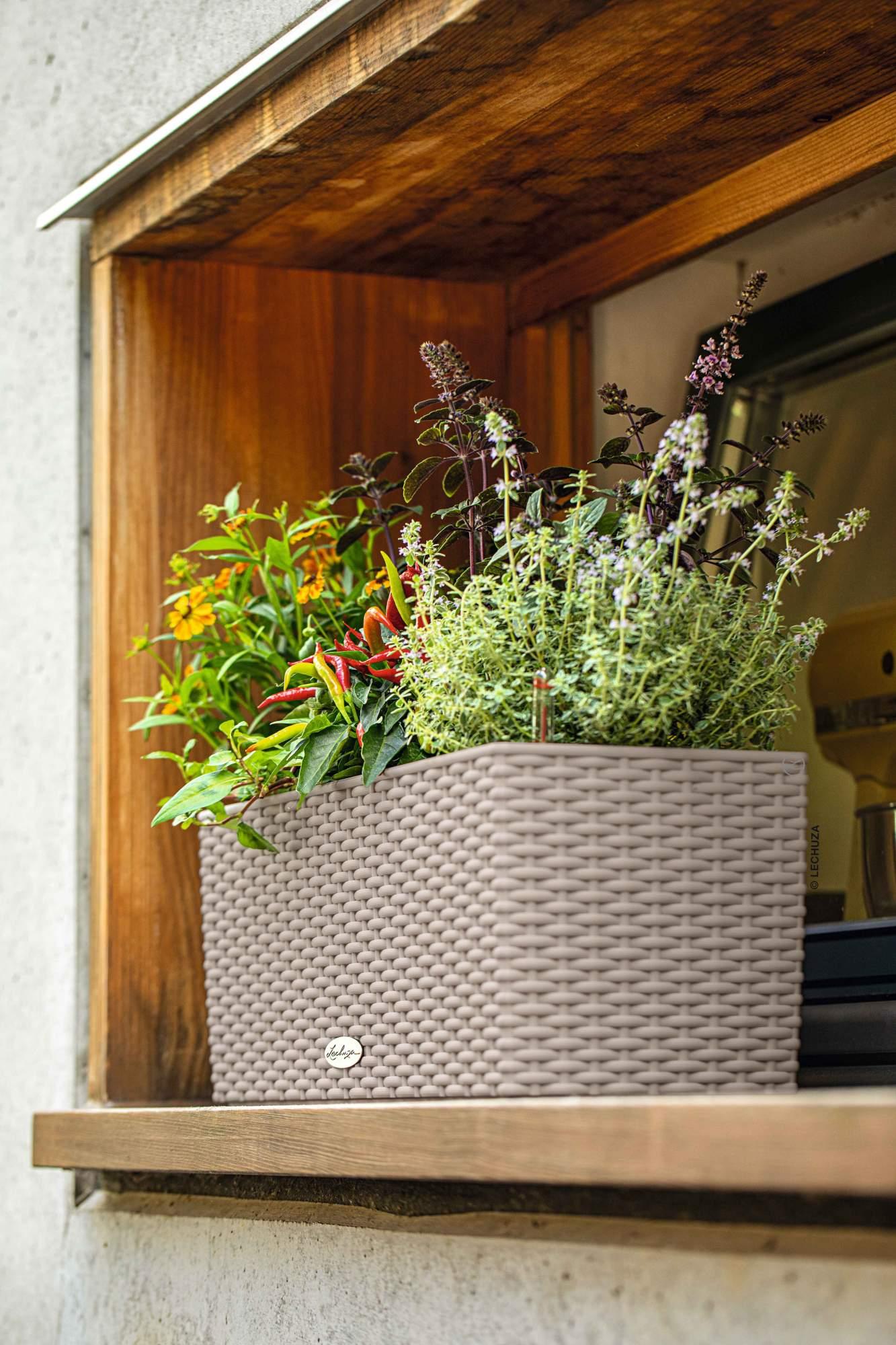 Lechuza Blumenkasten Balconera Cottage 50 sandbraun Lechuza Blumenkasten Balconera Cottage 50 sandbraun