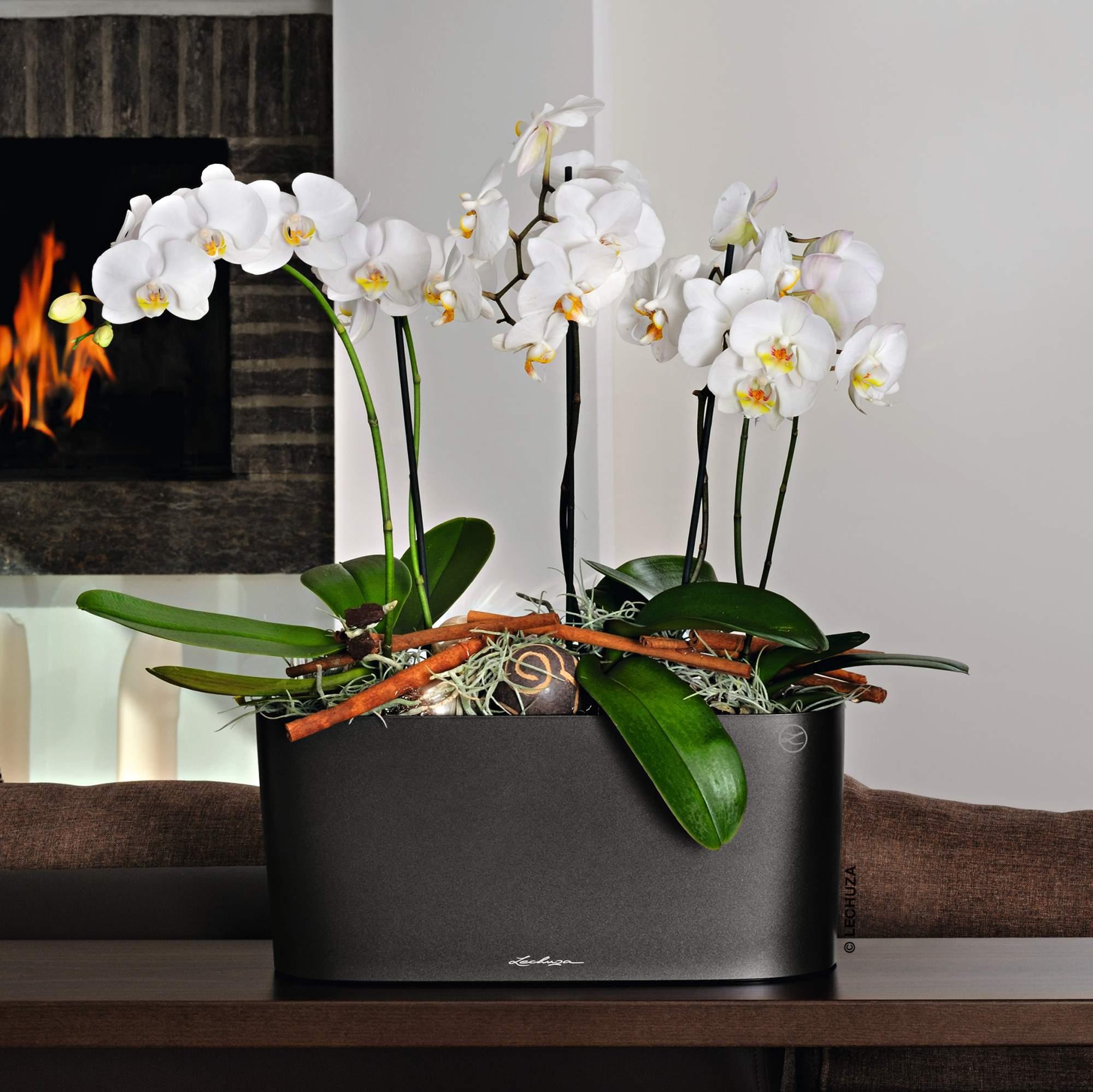 Lechuza Blumentopf rechteckig Delta 20 anthrazit metallic Lechuza Blumentopf rechteckig Delta 20 anthrazit metallic