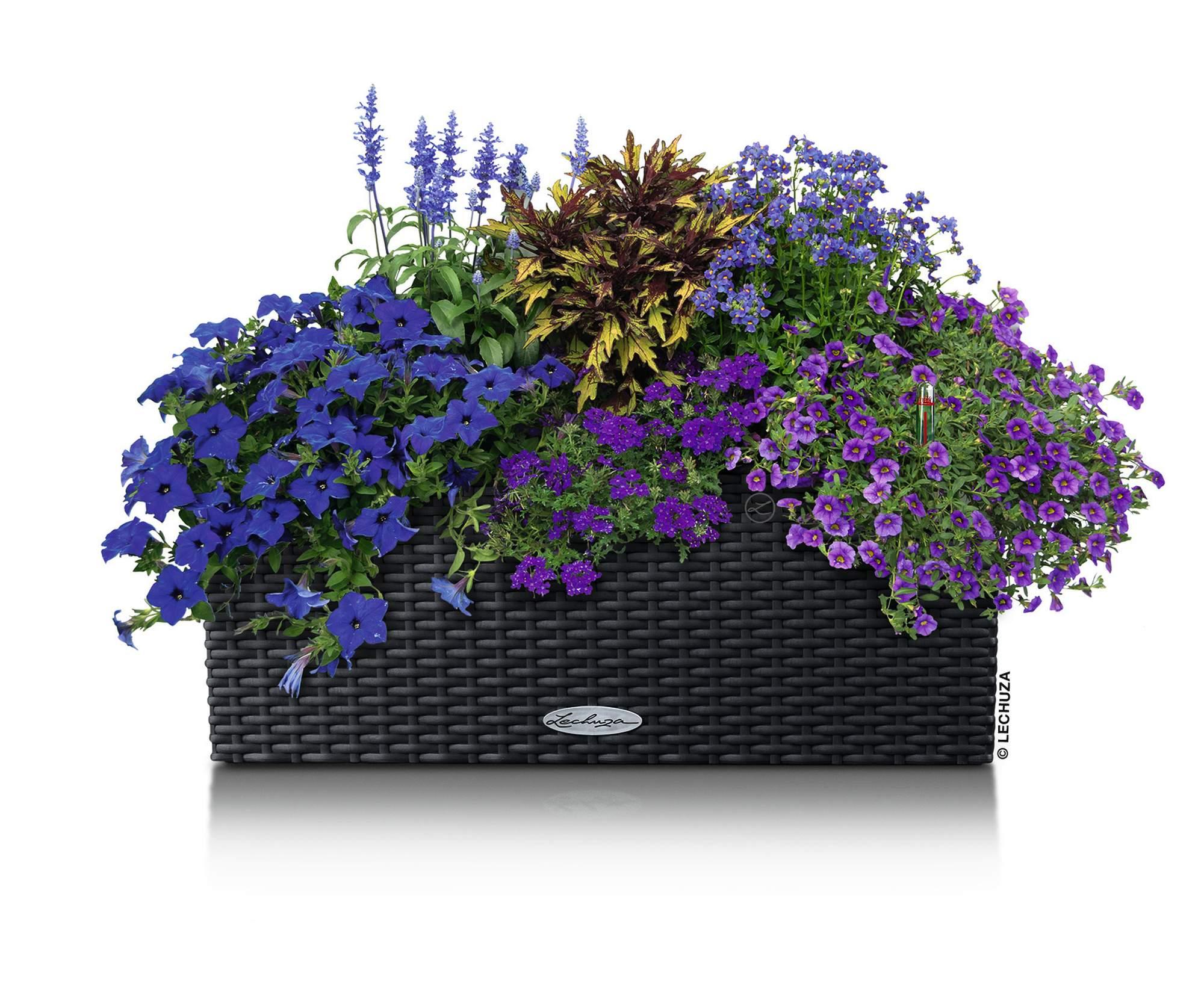 Lechuza Blumenkasten Balconera Cottage 50 granit grau