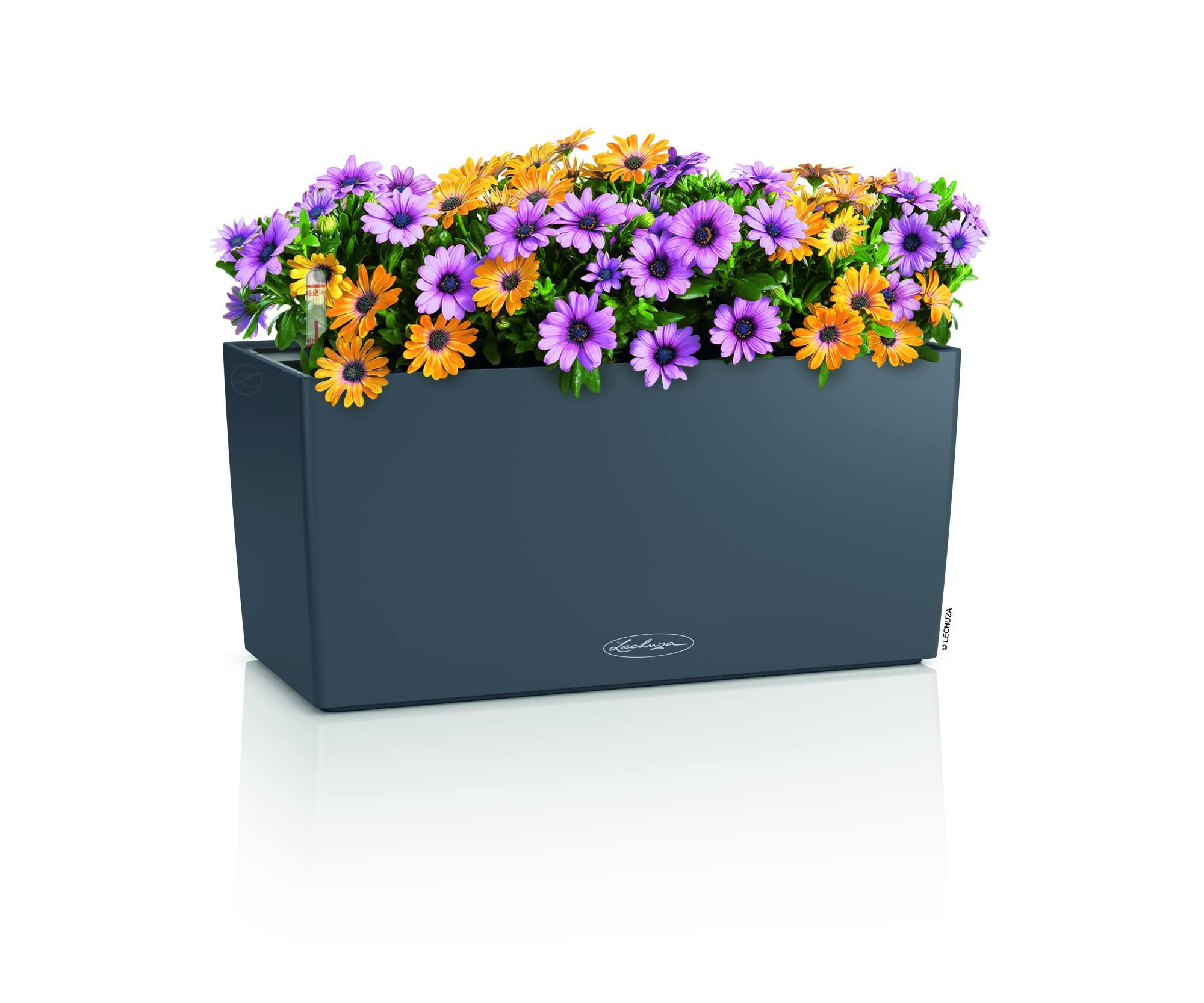 Lechuza Blumenkasten Balconera Color 40 Schiefergrau 15478