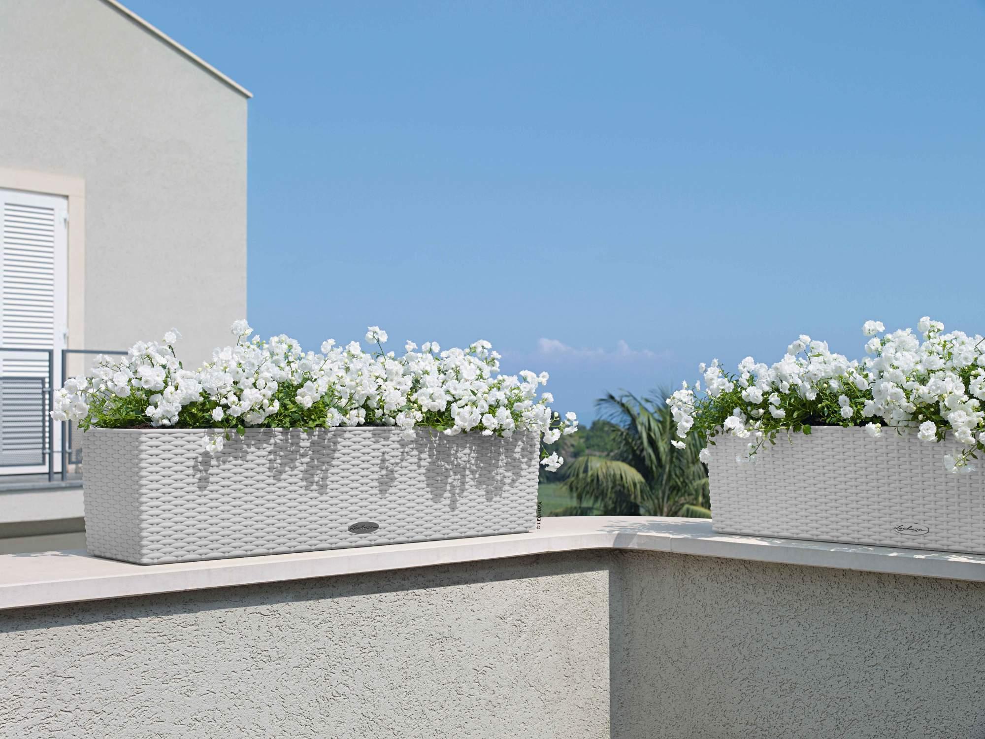 Lechuza Blumenkasten Balconera Cottage 80 lichtgrau 