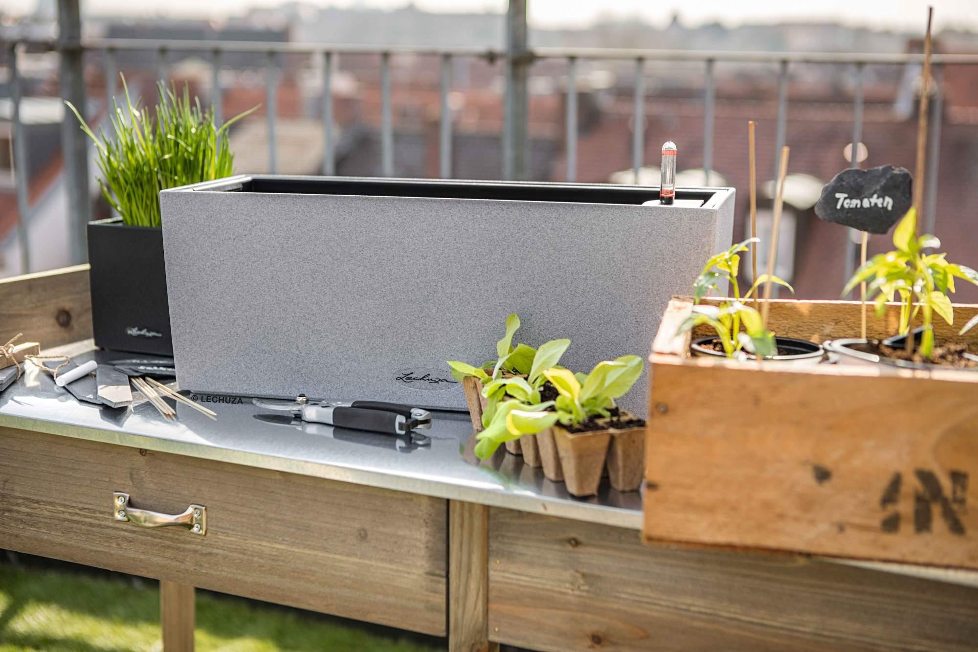 Lechuza Blumenkasten Balconera Stone 50 steingrau