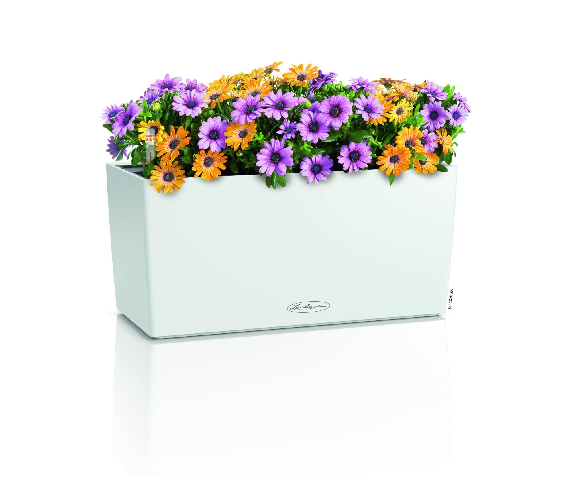 Lechuza Blumenkasten Balconera Color 40 Weiß 15479