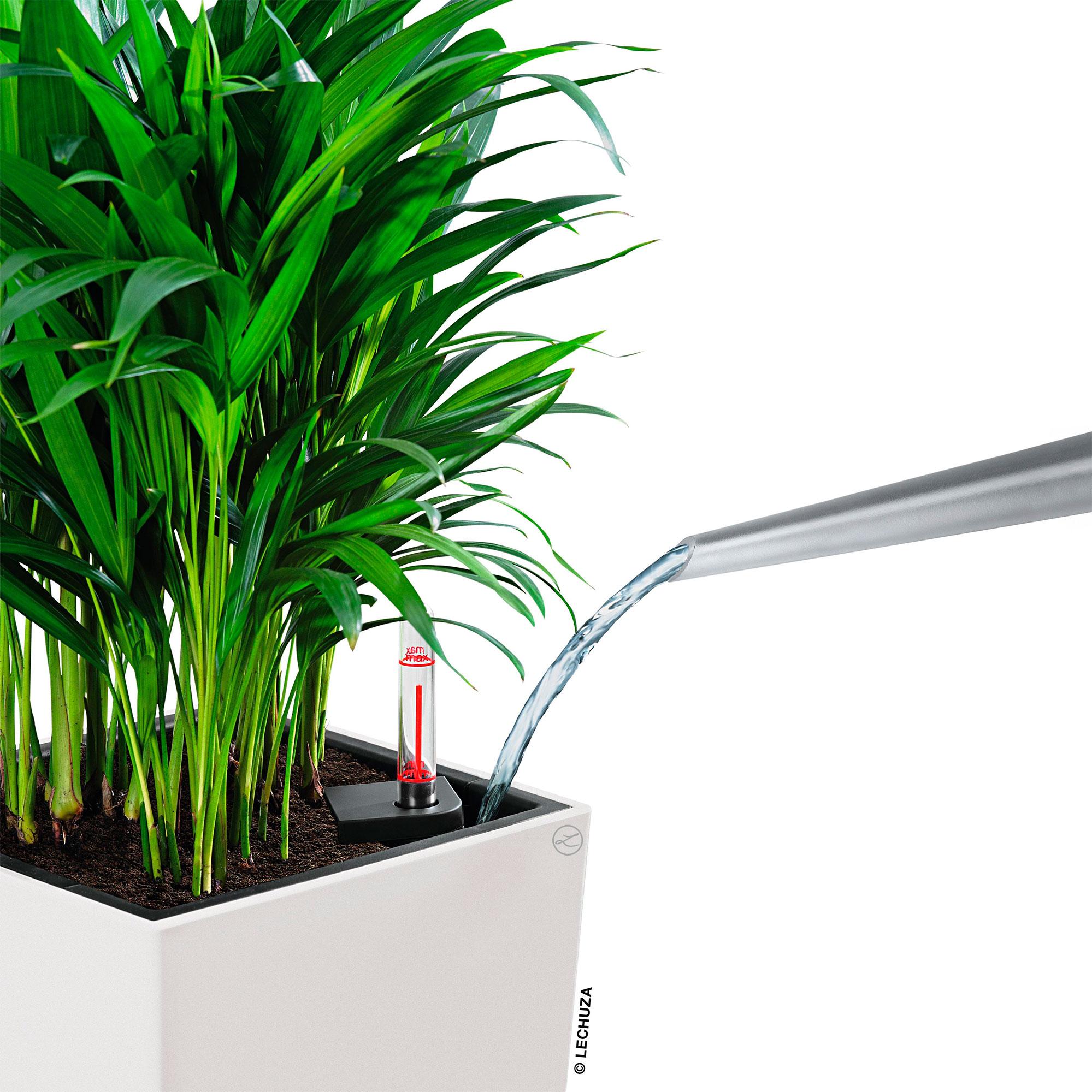 Lechuza Blumentopf hoch Cubico Color 22 weiss matt Lechuza Blumentopf hoch Cubico Color 22 weiss matt