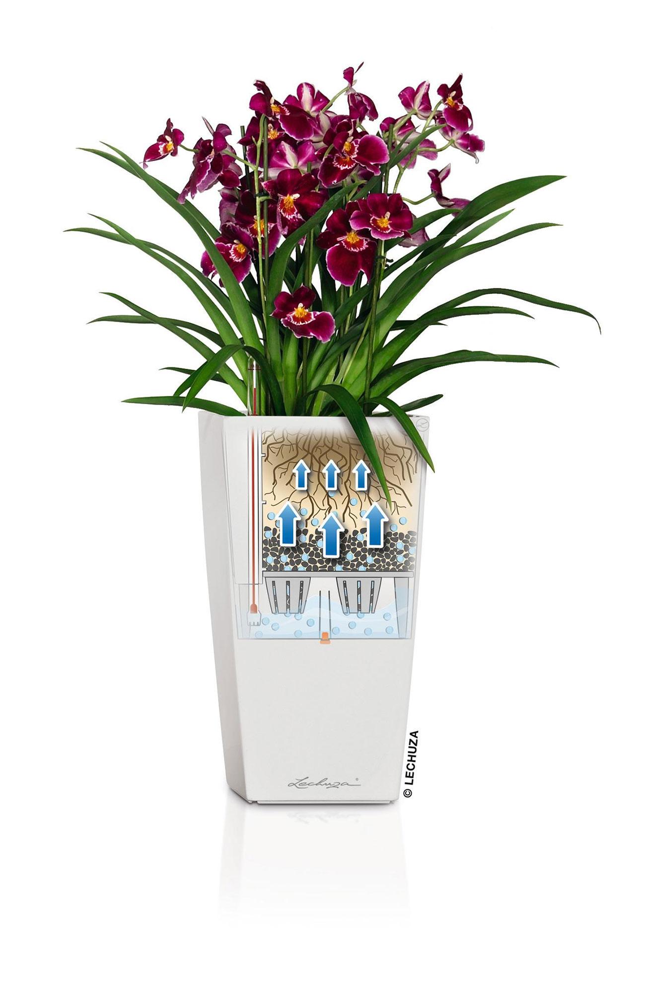 Lechuza Blumentopf hoch Cubico 22 weiß Hochglanz