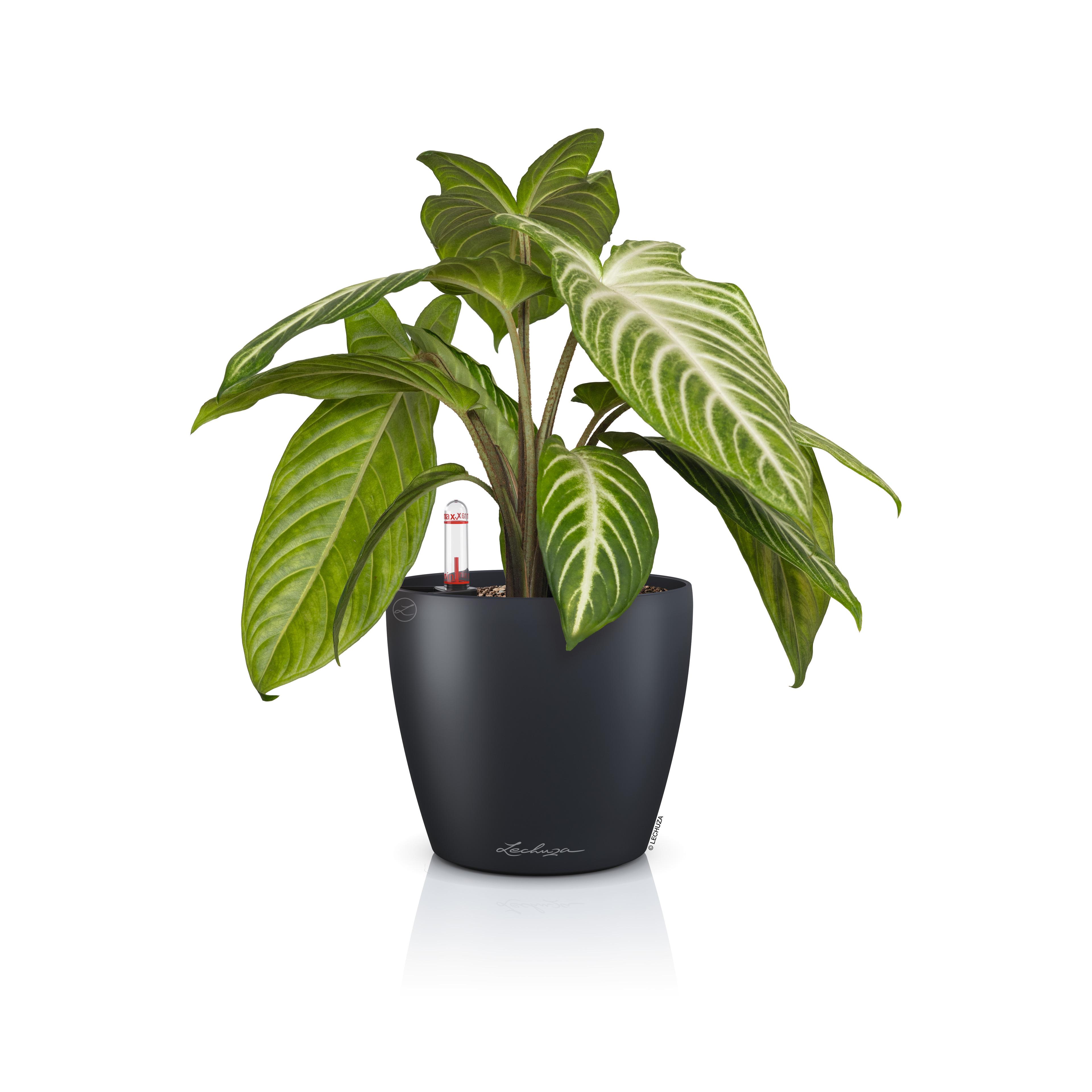 Lechuza Blumentopf rund Classico Color 14 schiefergrau