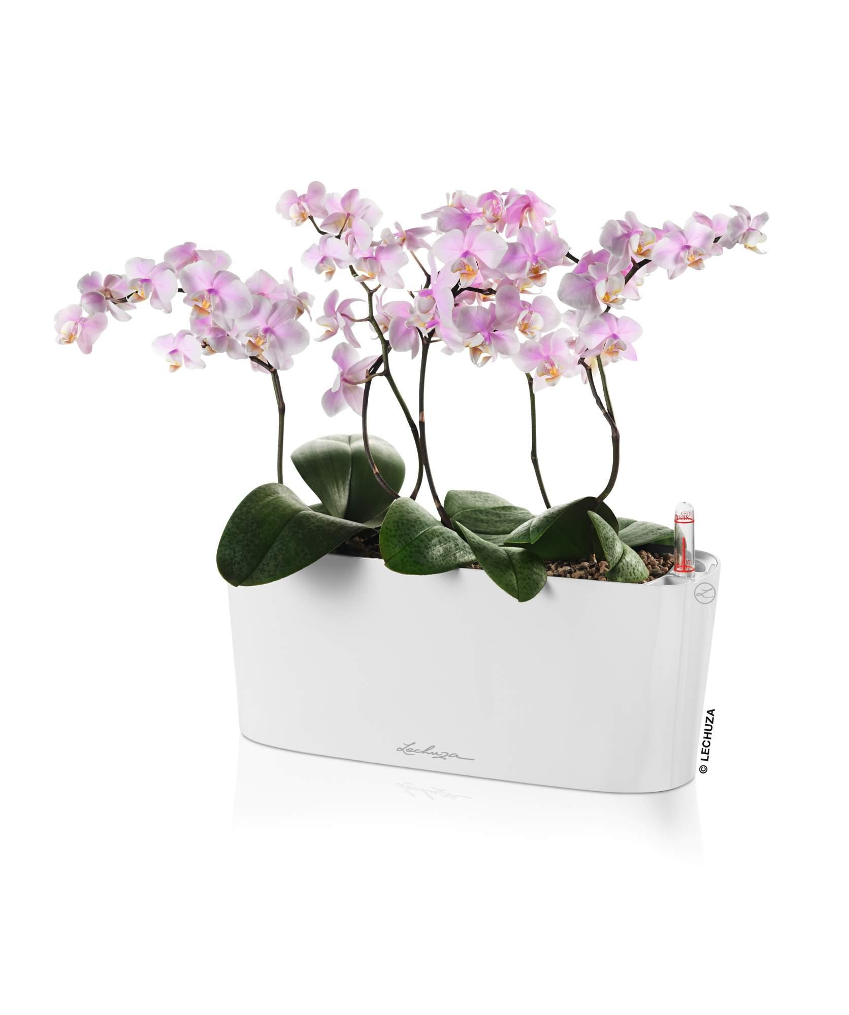 Lechuza Blumentopf rechteckig Delta 10 weiß hochglanz Lechuza Blumentopf rechteckig Delta 10 weiß hochglanz