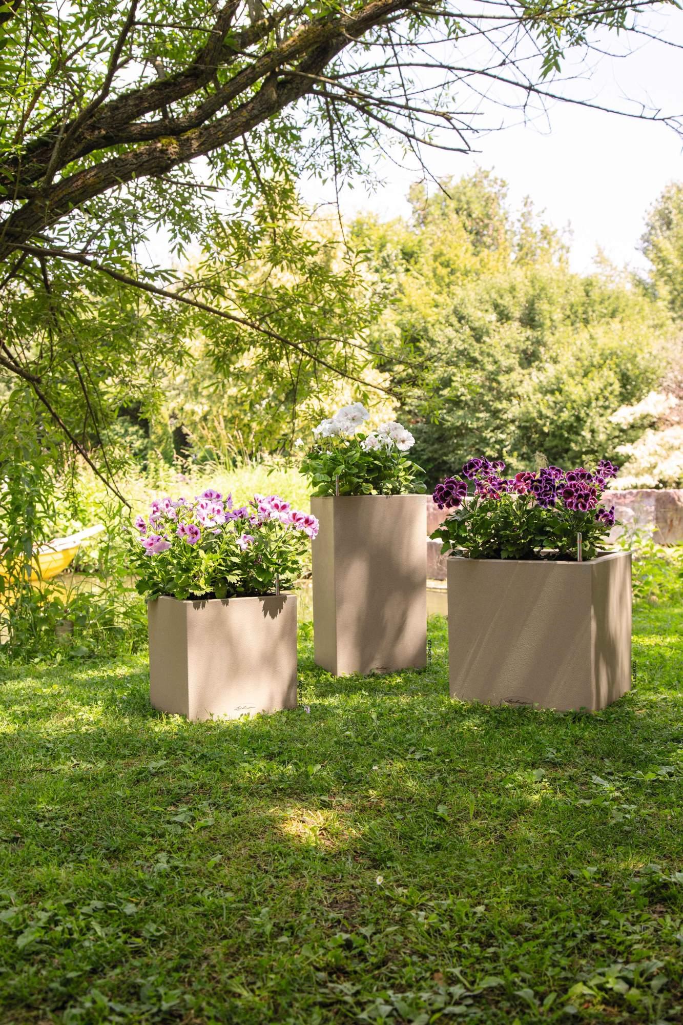 Lechuza Pflanzkübel hoch Canto Stone High 30 sandbeige