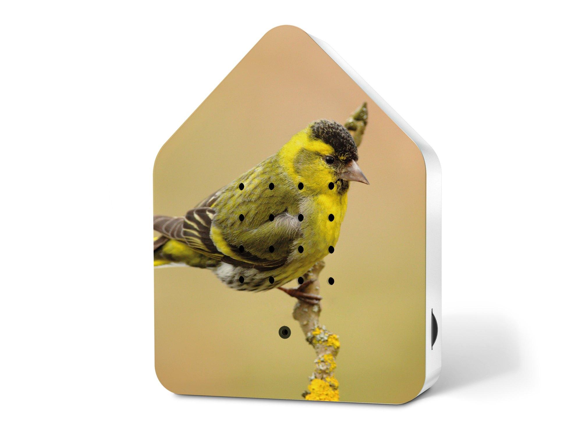 Relaxound Zwitscherbox Special Edition Spring24 Eurasian Siskin