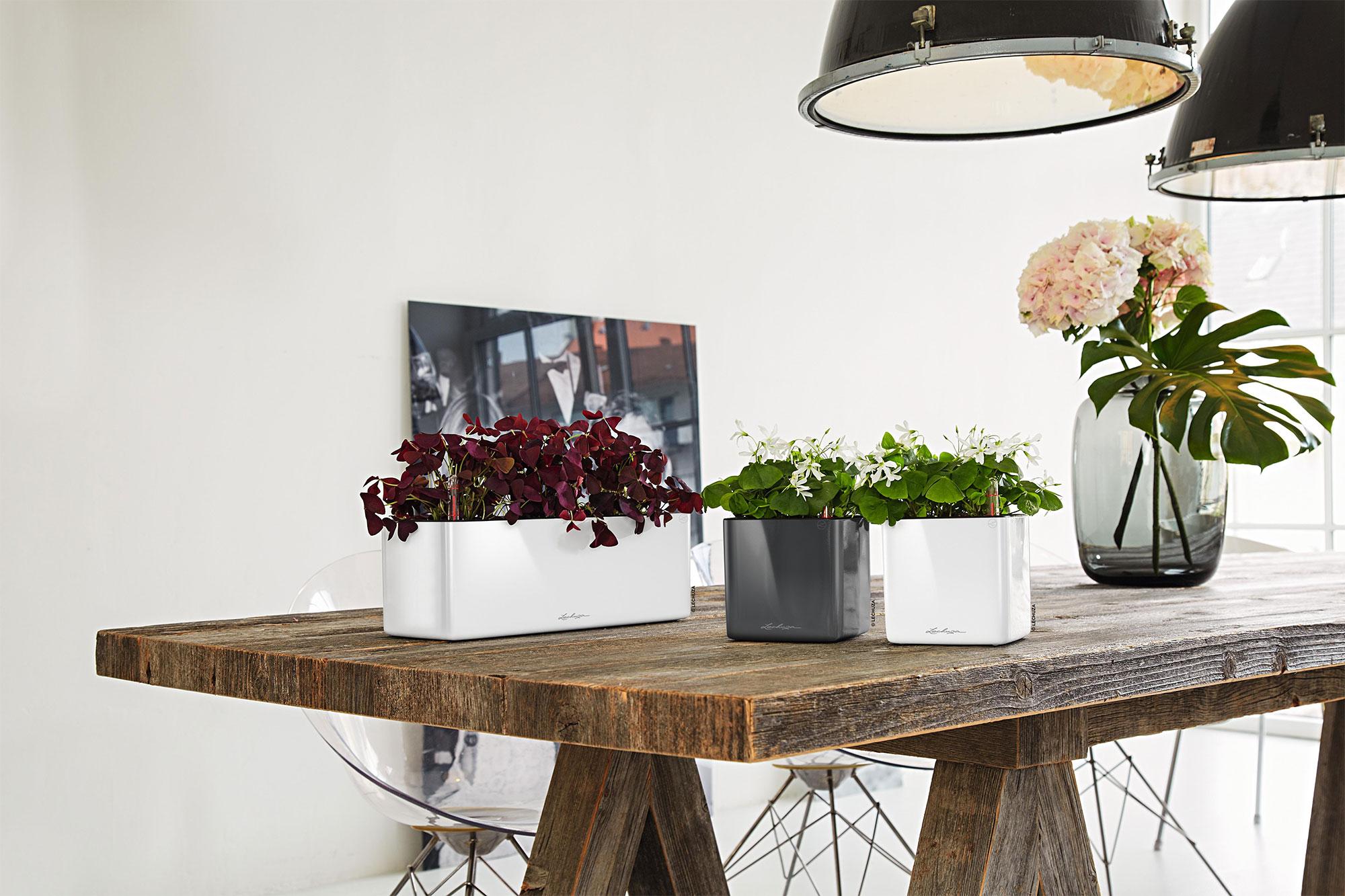 Lechuza Blumenkasten Cube Glossy Triple Weiss highgloss