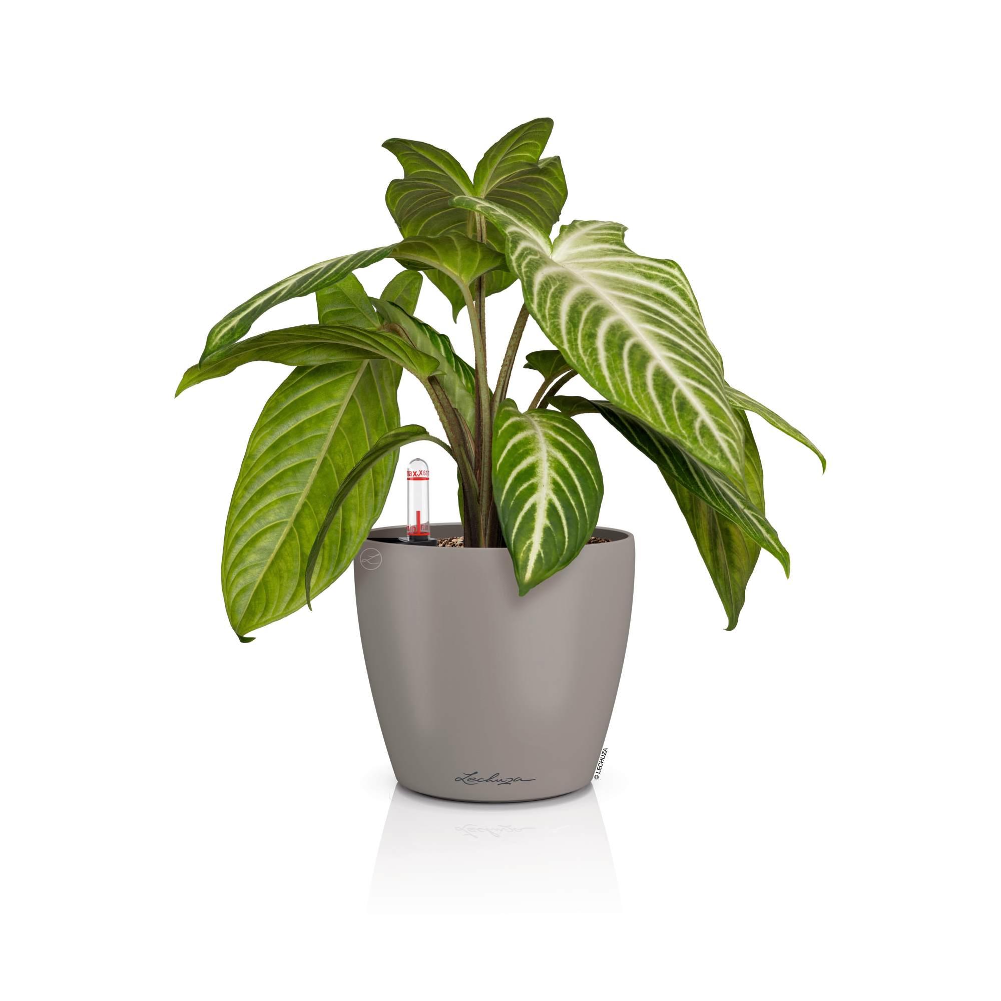 Lechuza Blumentopf rund Classico Color 14 Sandbraun