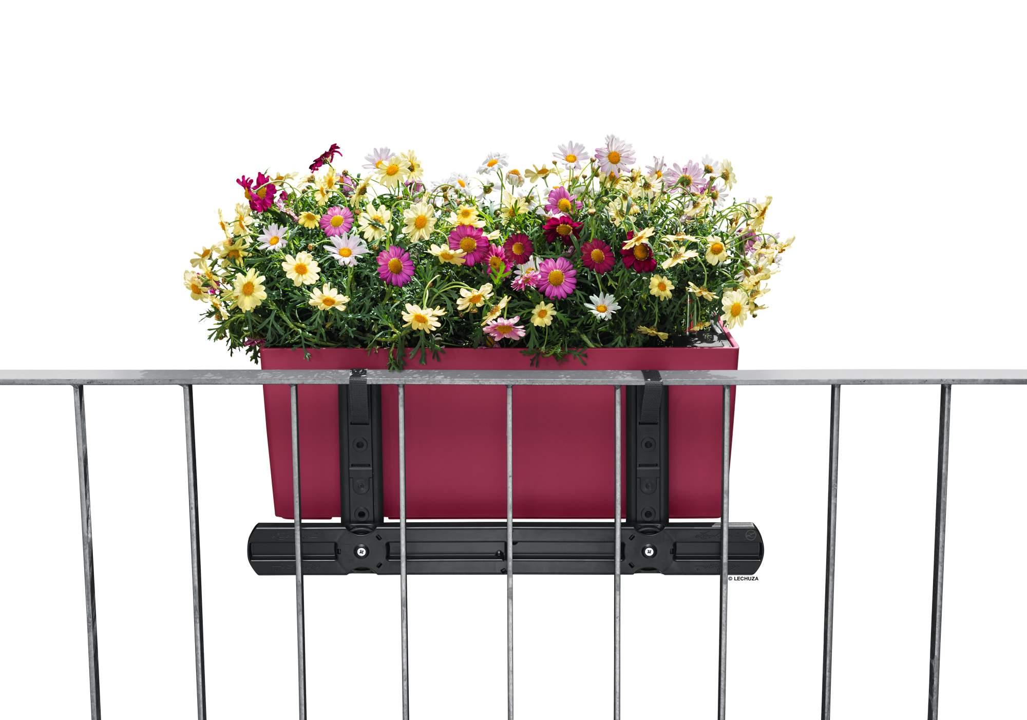 Lechuza Blumenkasten Balconera Color 50 muskat braun