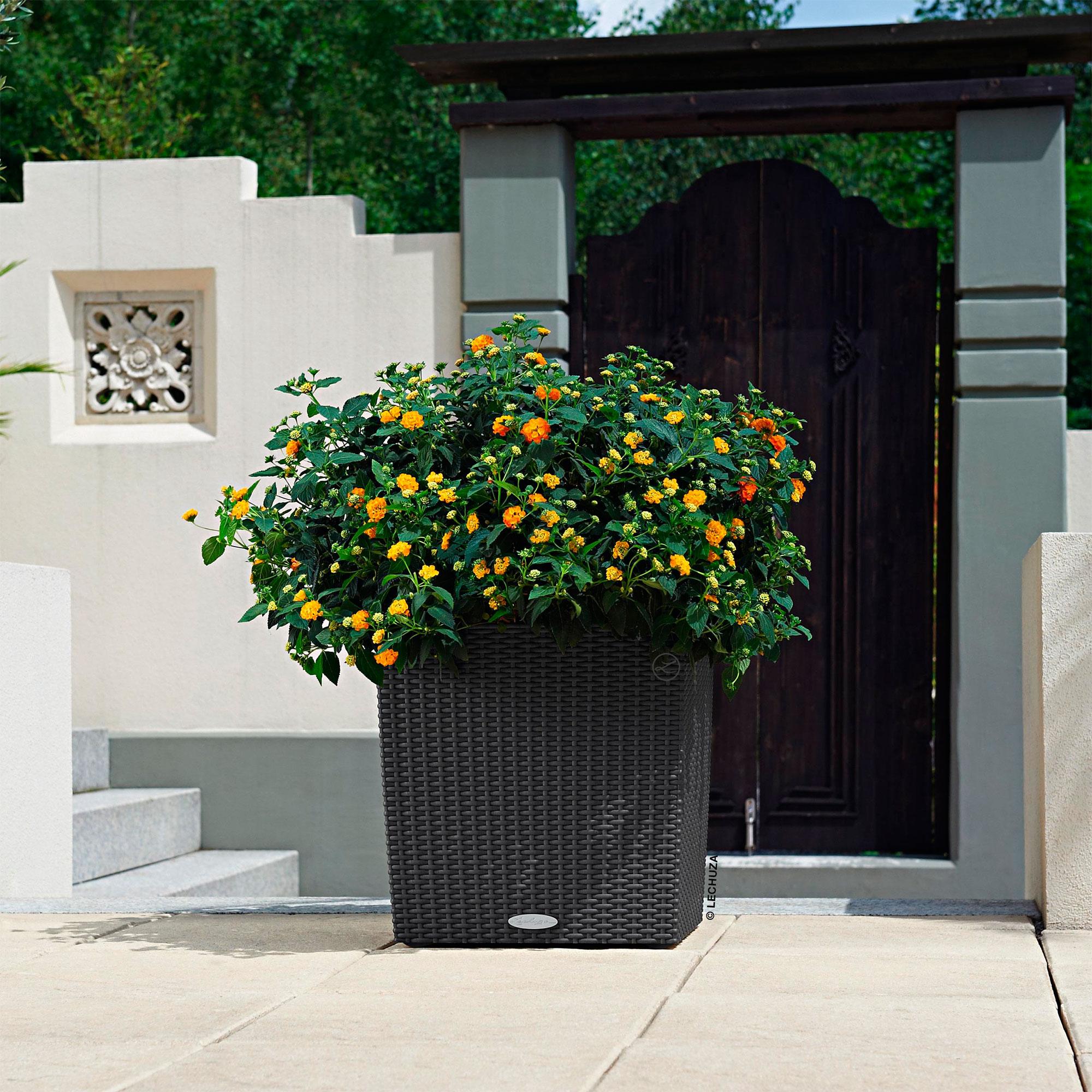 Lechuza Blumentopf groß Cube Cottage 50 sandbraun
