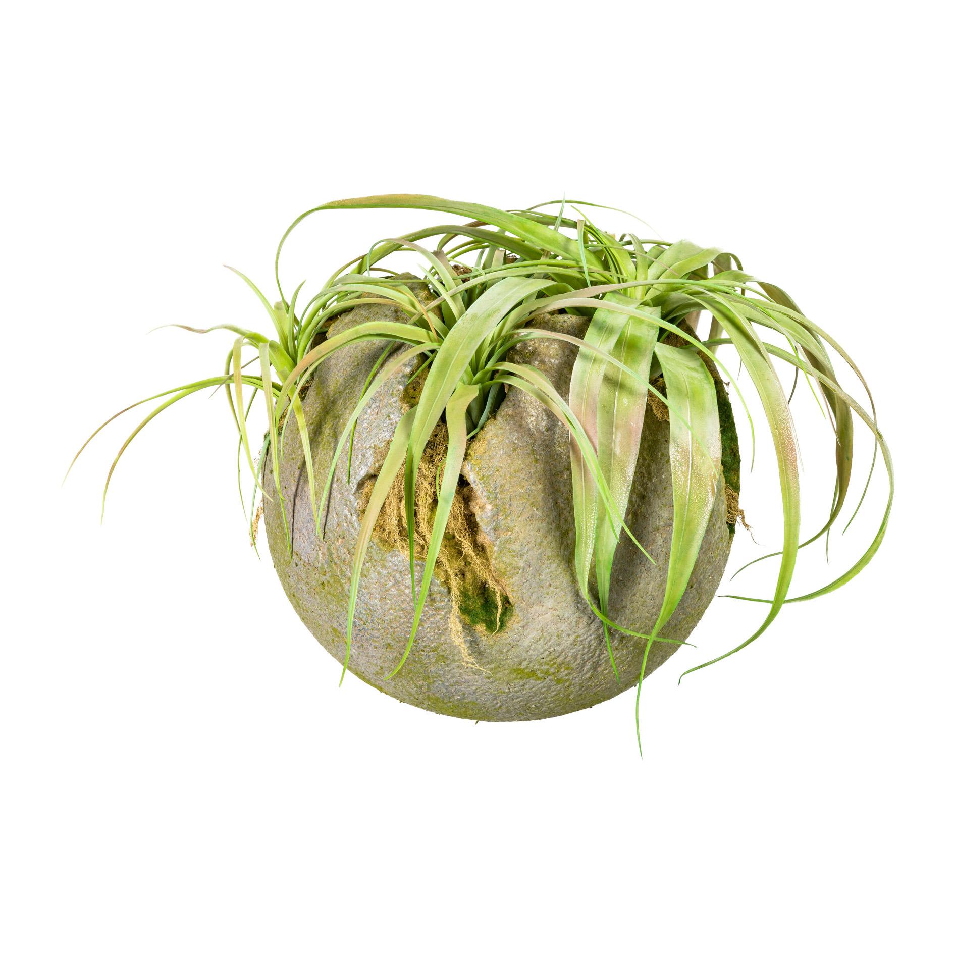 Gasper Tillandsia in Kunststeinkugel 30x45 cm Kunstpflanze